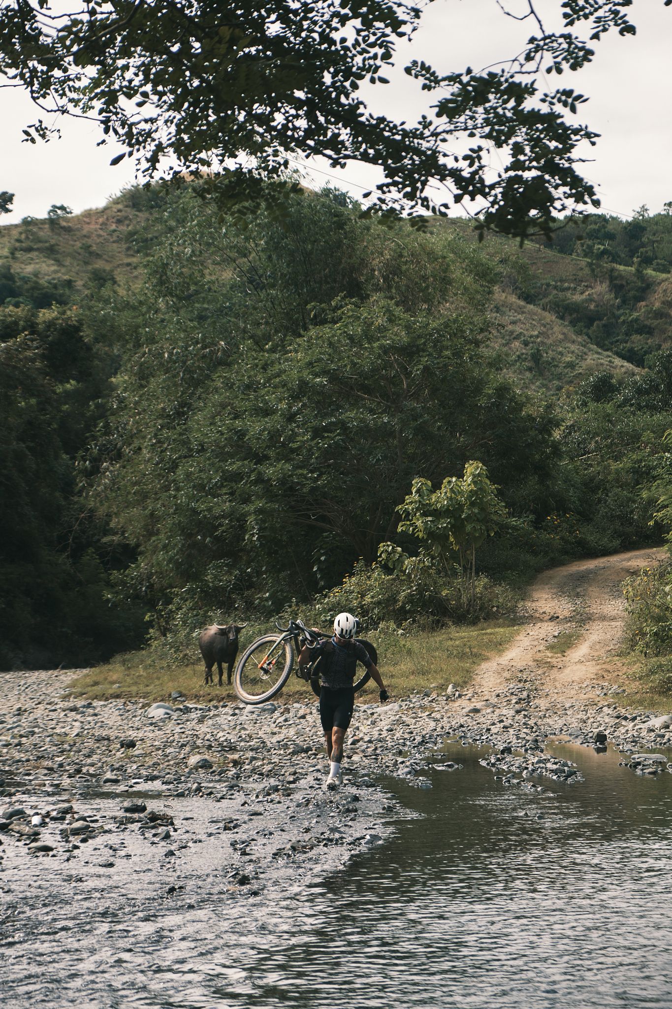 Cyclist carrying bike across rocky stream in hilly countryside