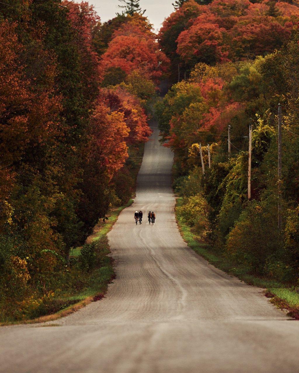 Cyclists on quiet country road surrounded by vibrant autumn foliage in orange, red, and yellow tones