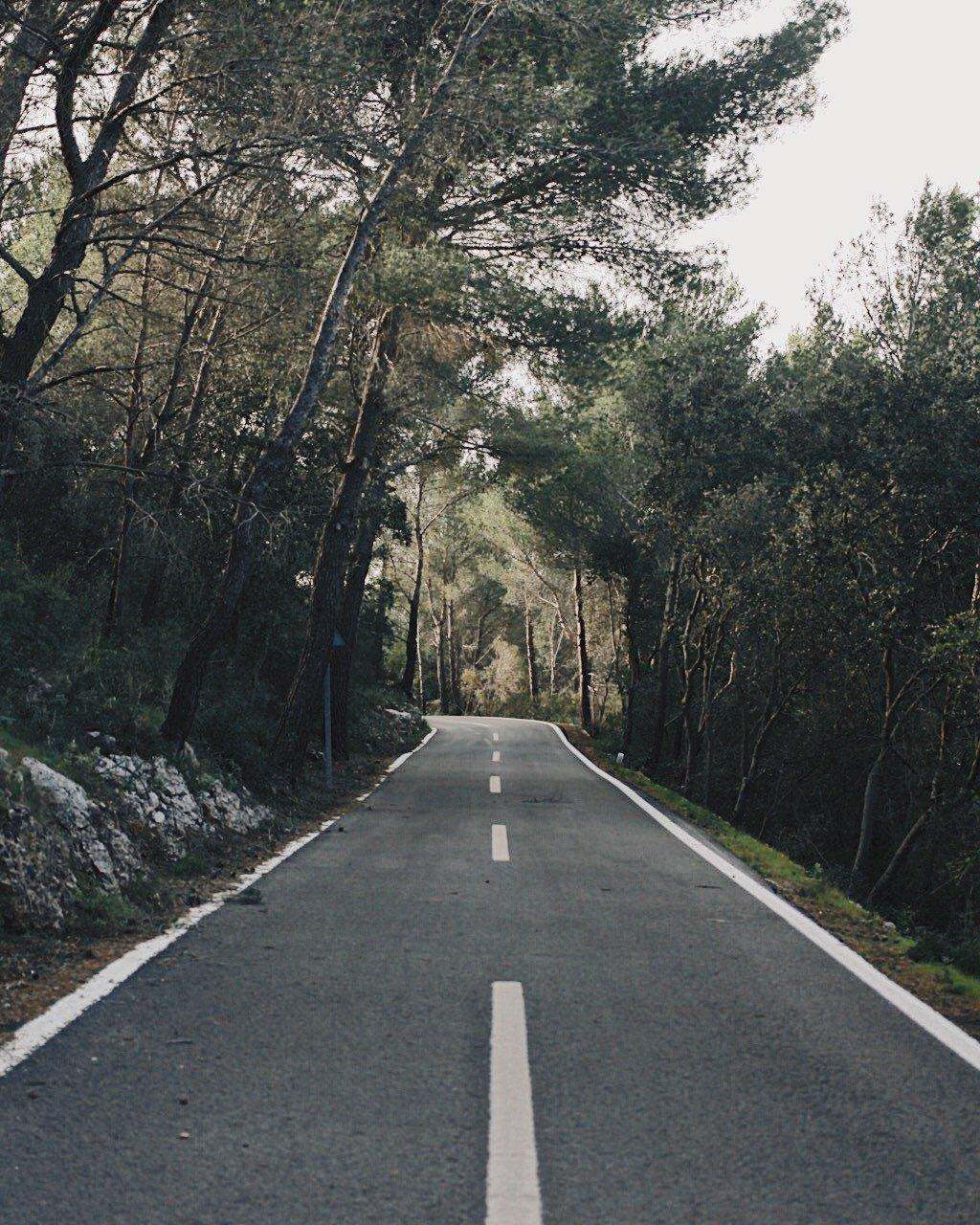 Empty tree-lined road winding through forest with stone wall and white lane markings