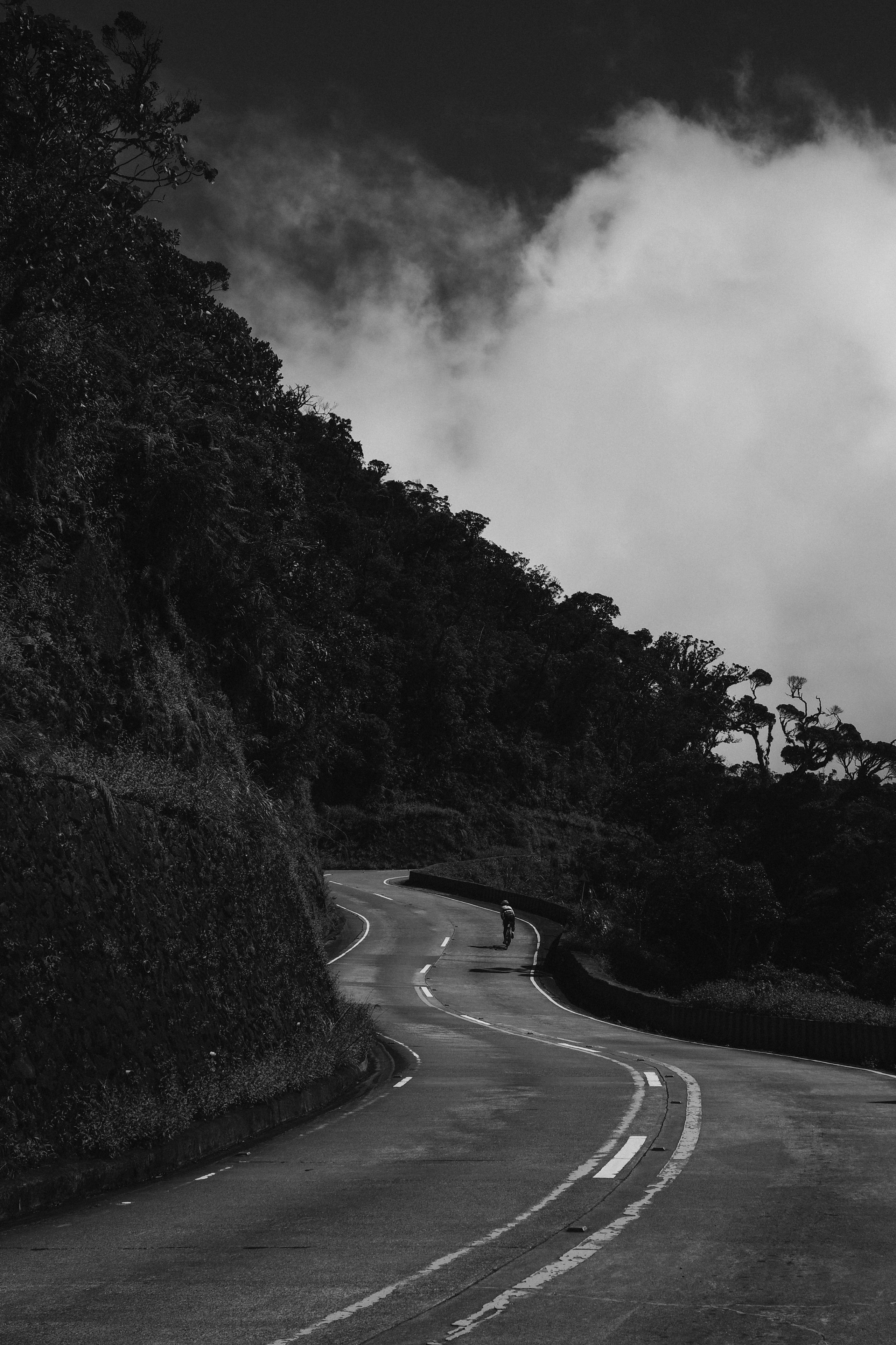 Winding mountain road through forest under dramatic cloudy sky in black and white