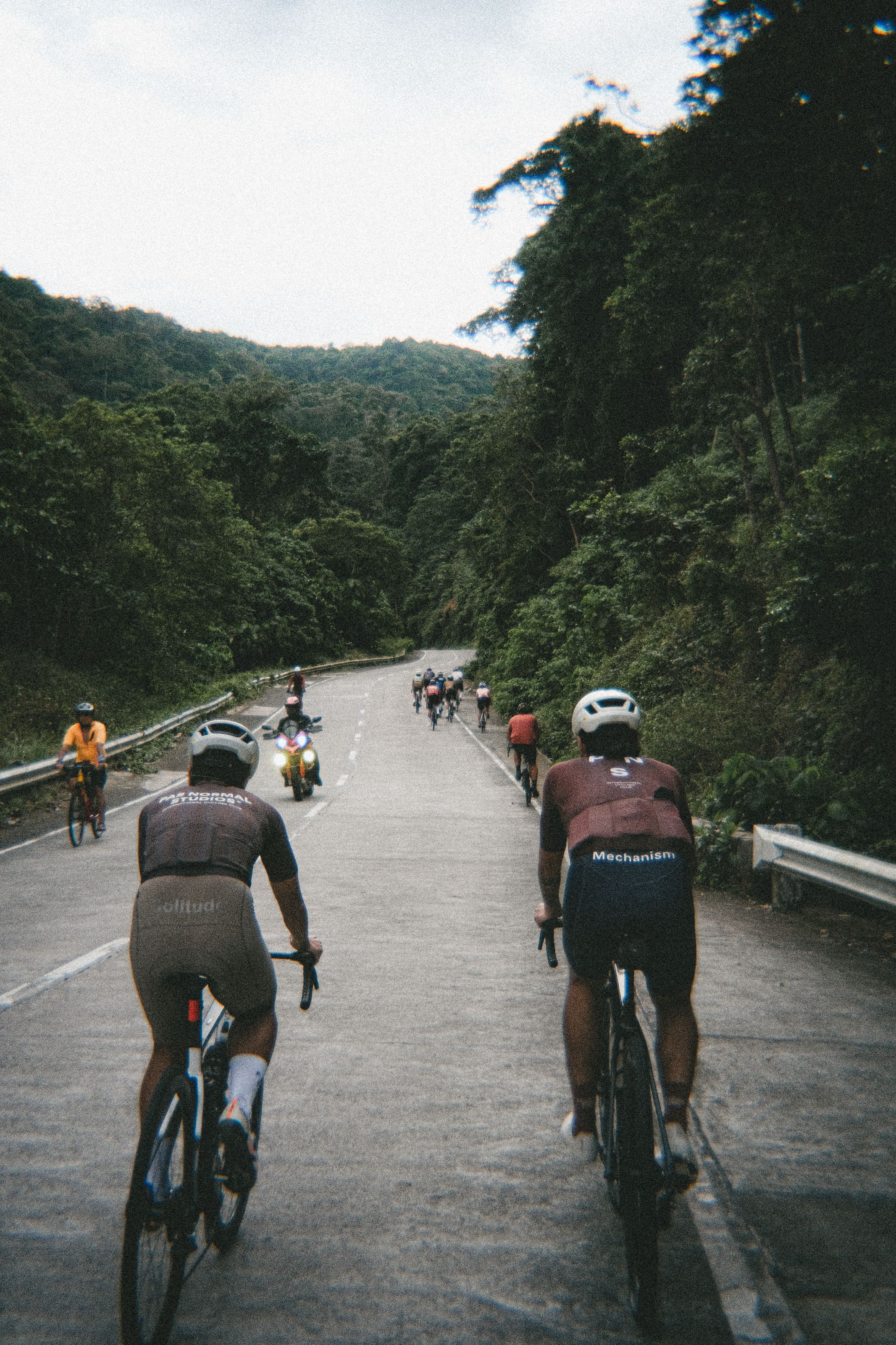 Cyclists wearing Mechanism collection apparel riding on forested mountain road