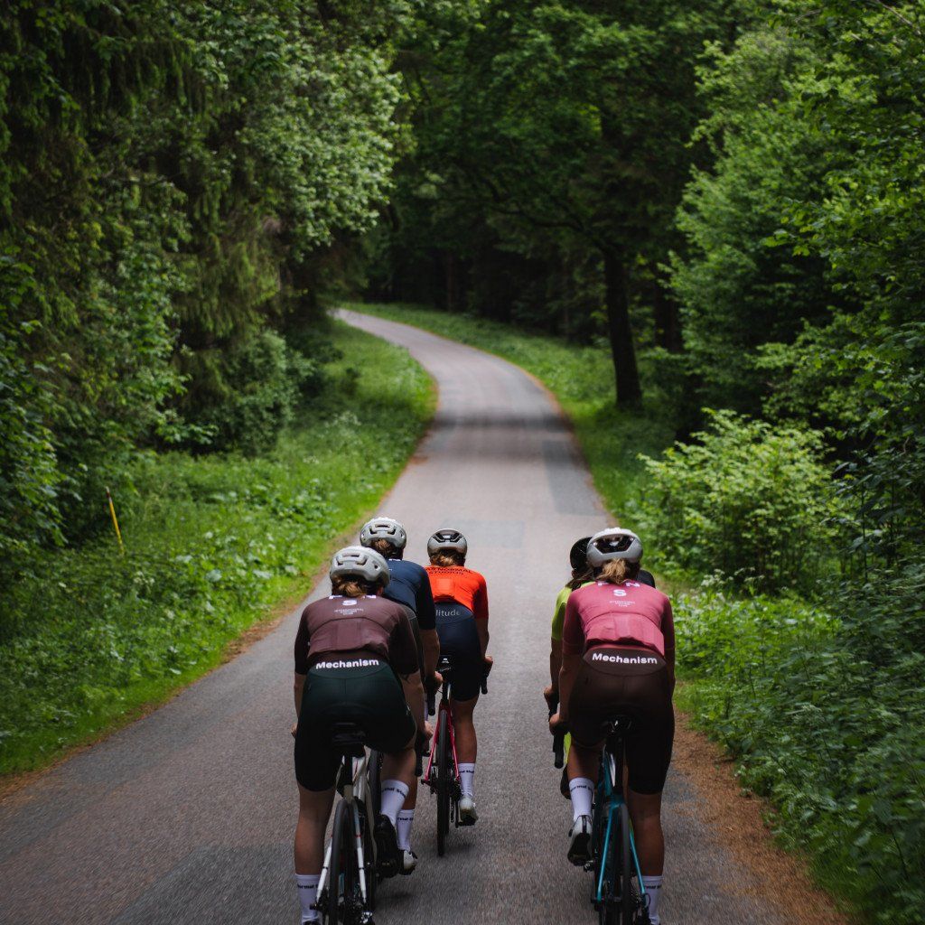 Group of cyclists wearing Mechanism jerseys in various colors riding through tree-lined road