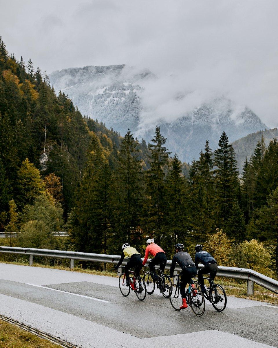 Four cyclists riding on mountain road with snow-capped peaks and autumn forest in background