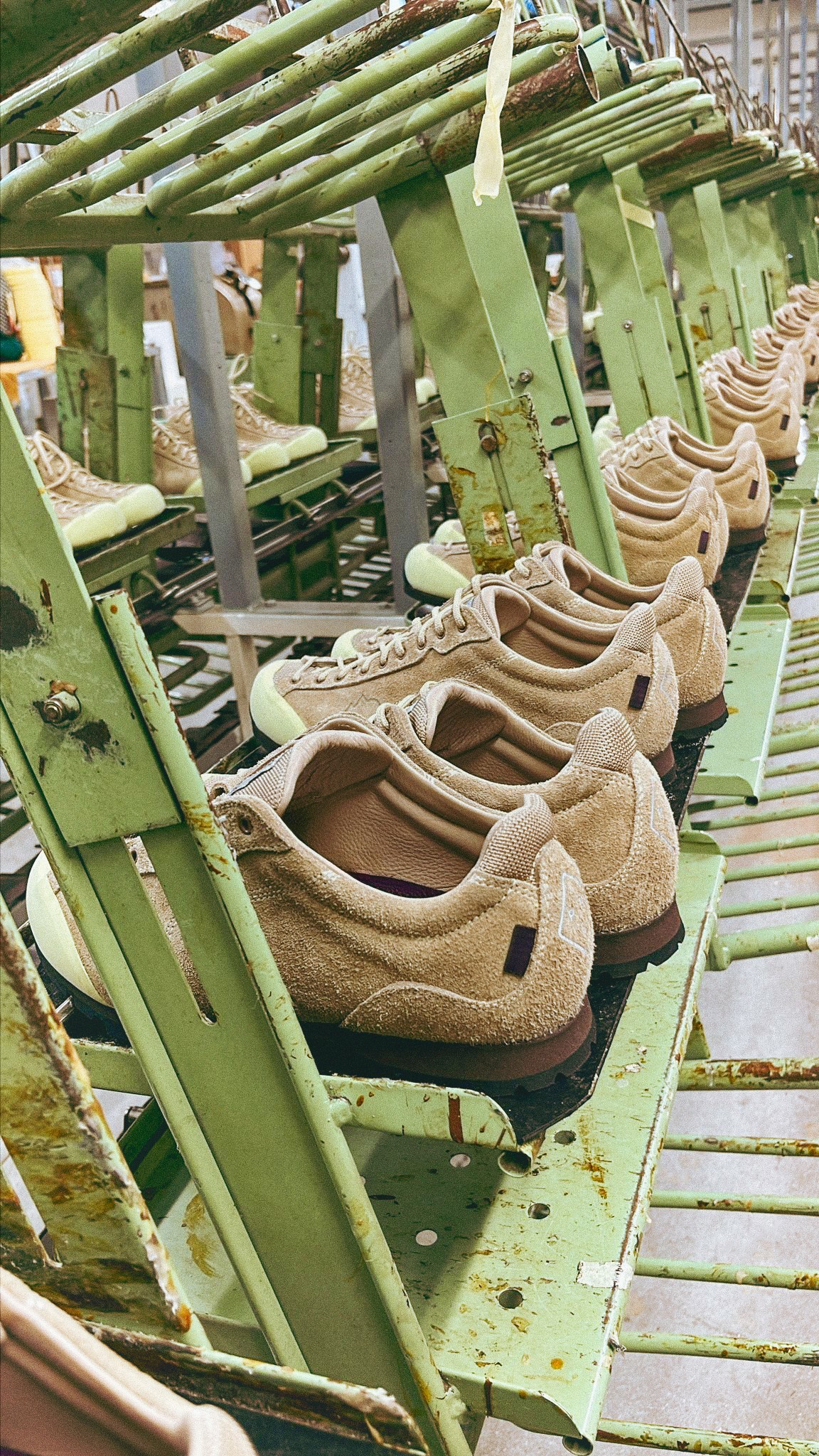 Beige suede sneakers lined up on green metal conveyor belt in Italian shoe factory