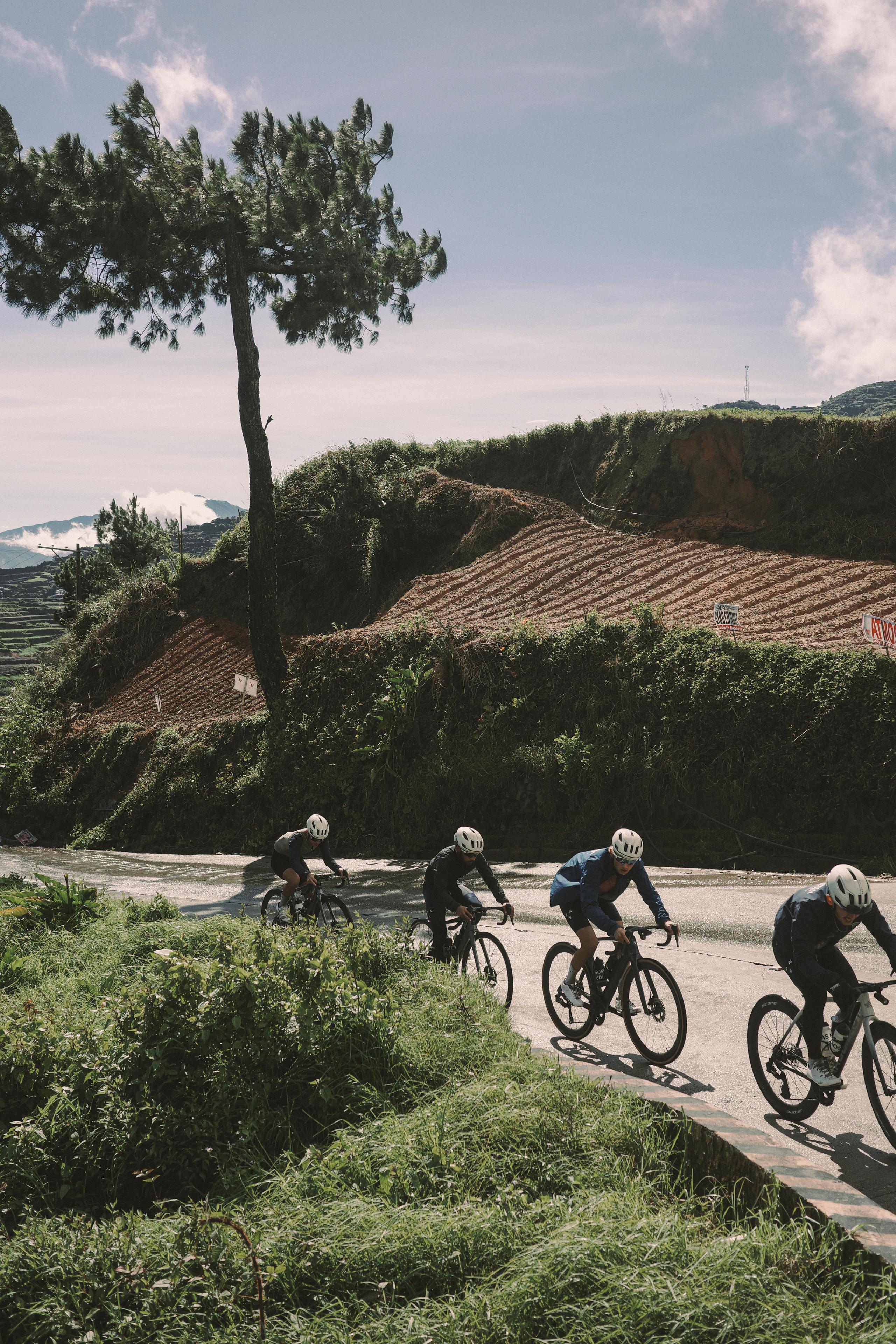 Four cyclists racing on road bikes through rural countryside with terraced hillsides and vegetation