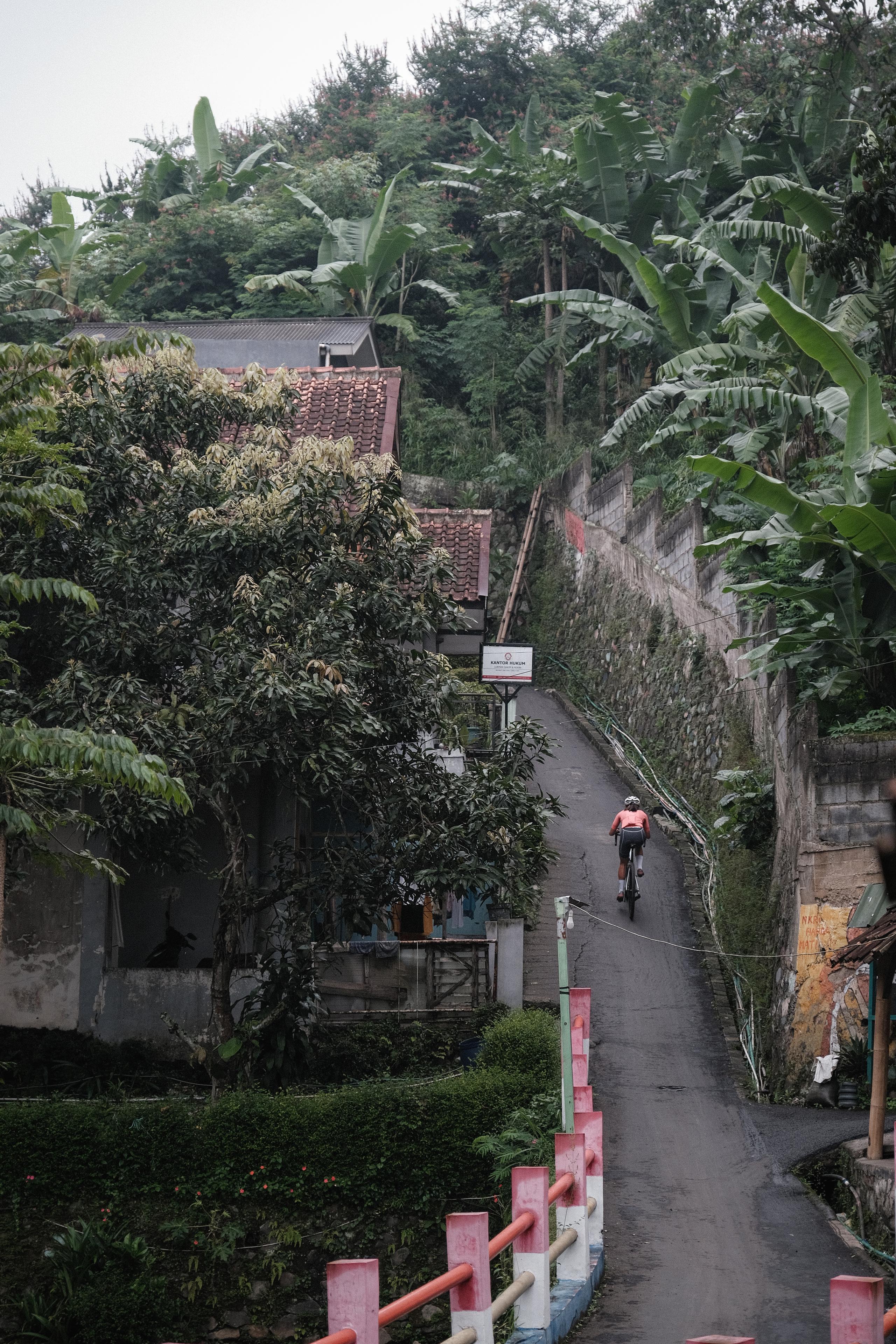 Cyclist in pink jersey riding through tropical village street with lush vegetation and traditional houses