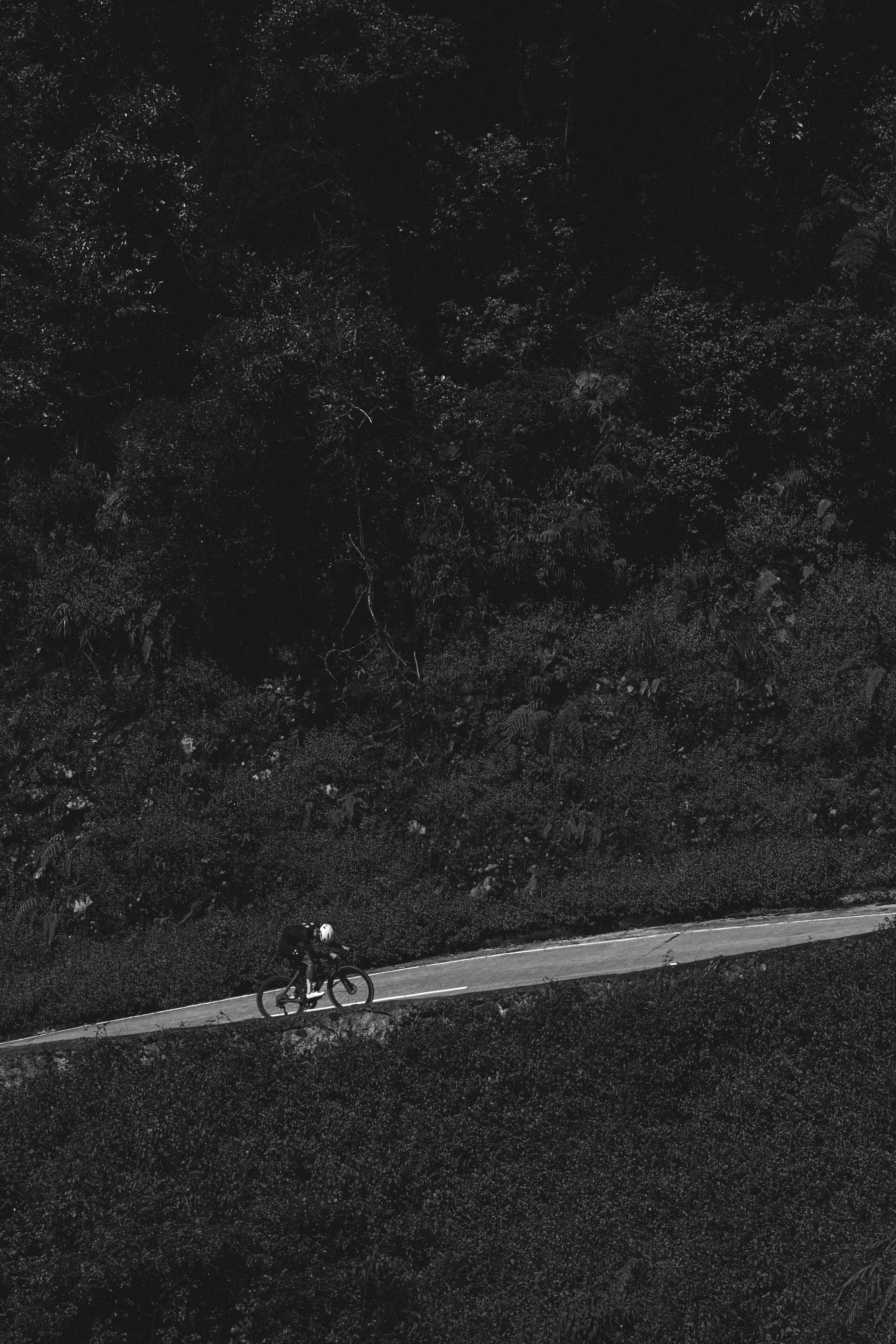 Aerial black and white view of cyclist on mountain road through forest