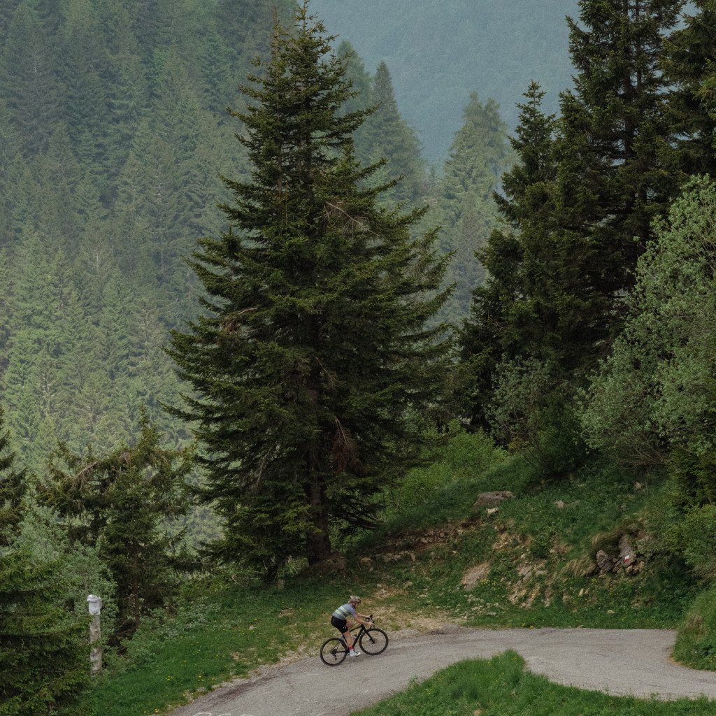Cyclist on mountain road through forested valley with evergreen trees and rolling hills