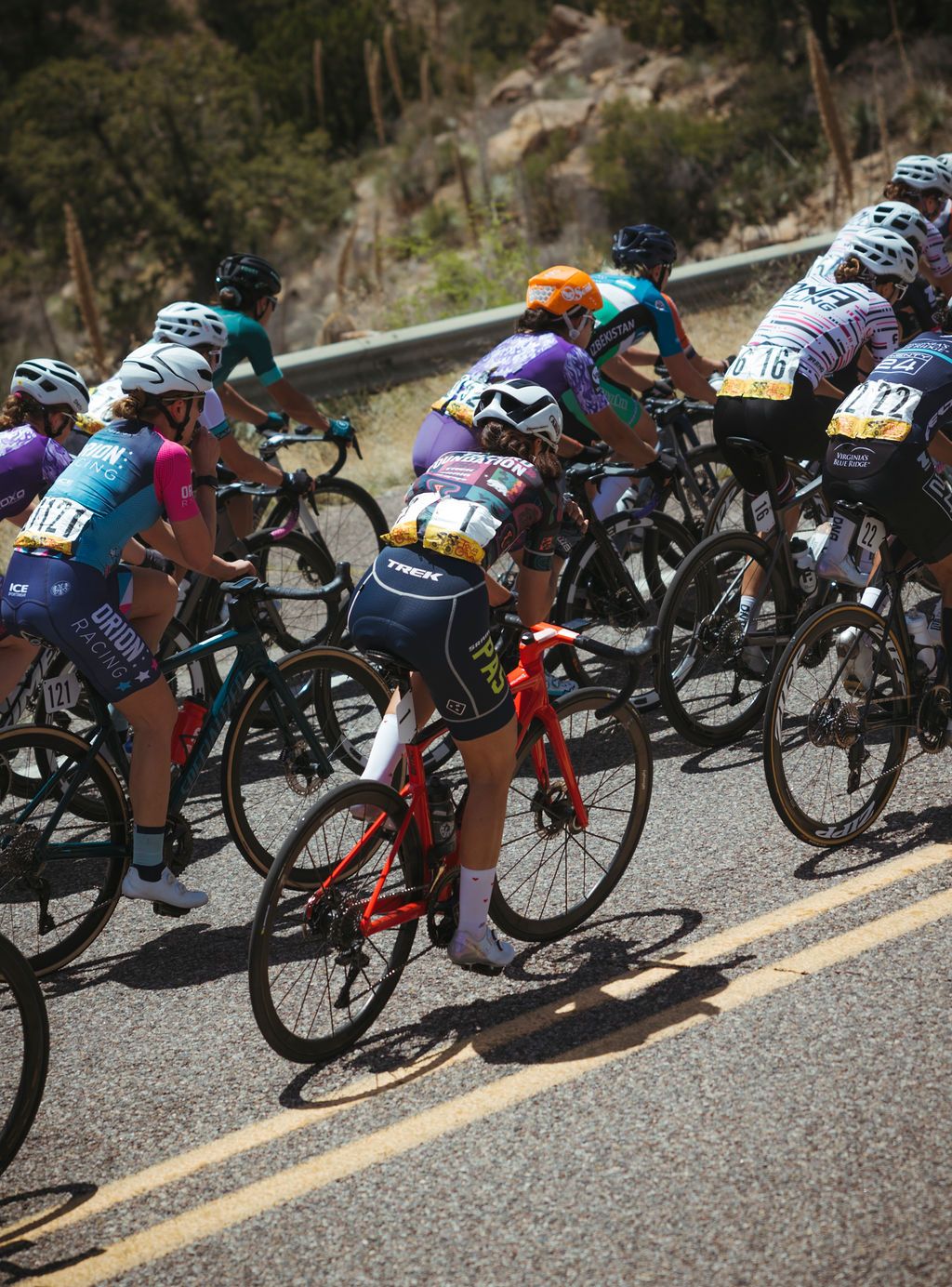 Professional cyclists racing in peloton wearing colorful team jerseys on desert road