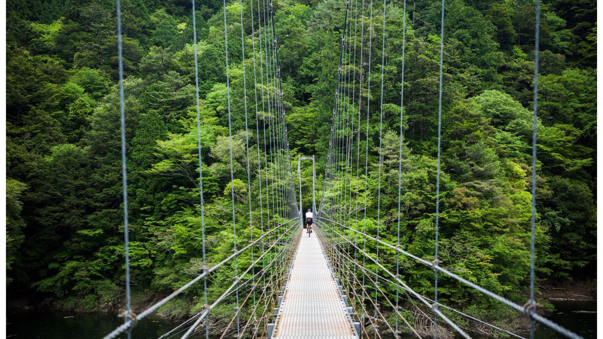 Cyclist on suspension bridge surrounded by lush green forest canopy