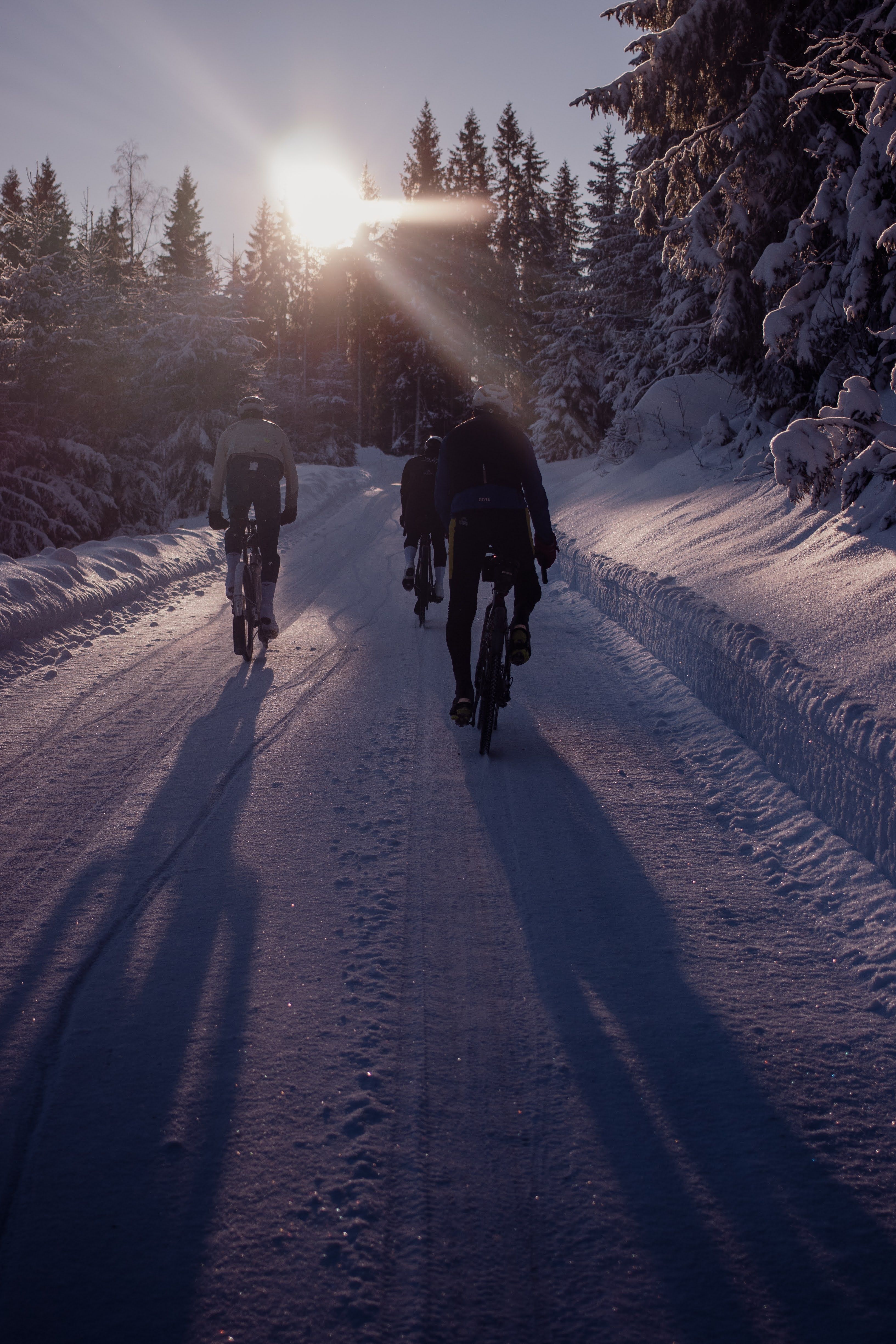 Cyclists riding on snow-covered road through winter forest with sun flare