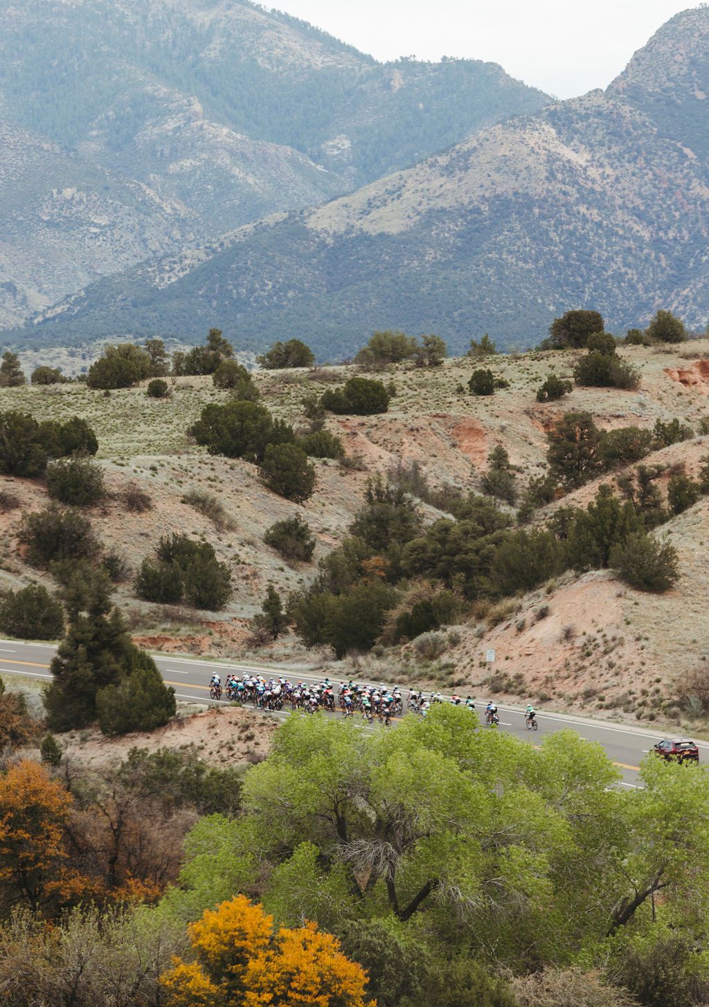 Cycling peloton racing through desert mountain landscape with rugged terrain and sparse vegetation