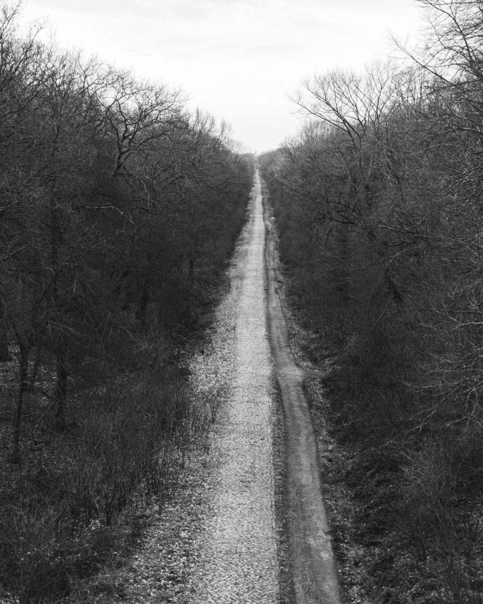 Black and white gravel path stretching into distance between bare winter trees