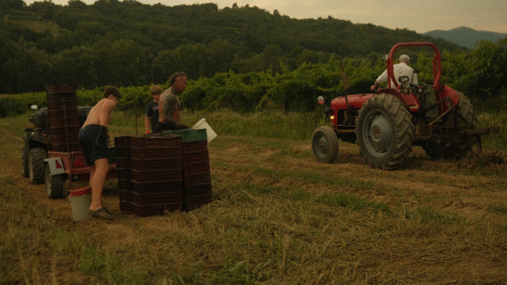 Farm workers with tractor in Slovenian countryside field at sunset