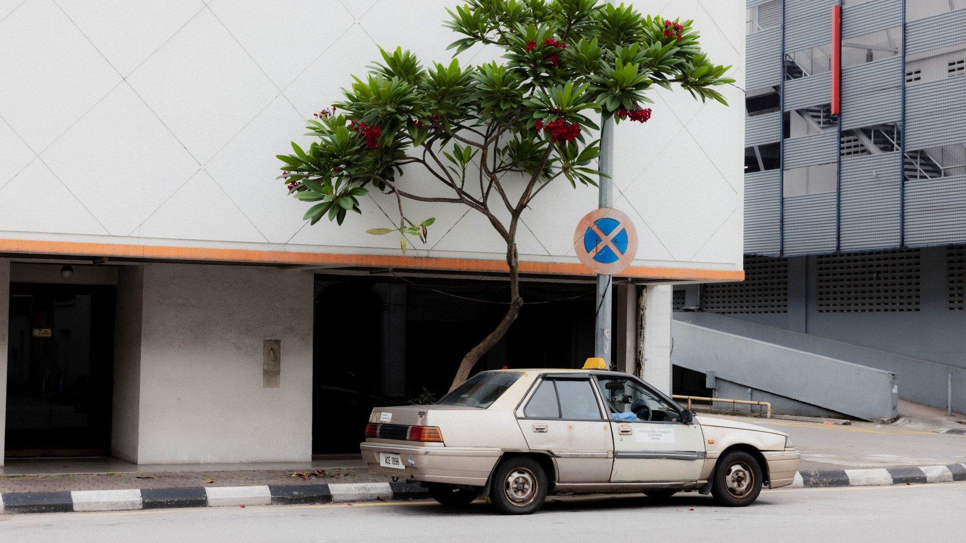 White taxi parked on urban Singapore street with modern buildings and flowering tree