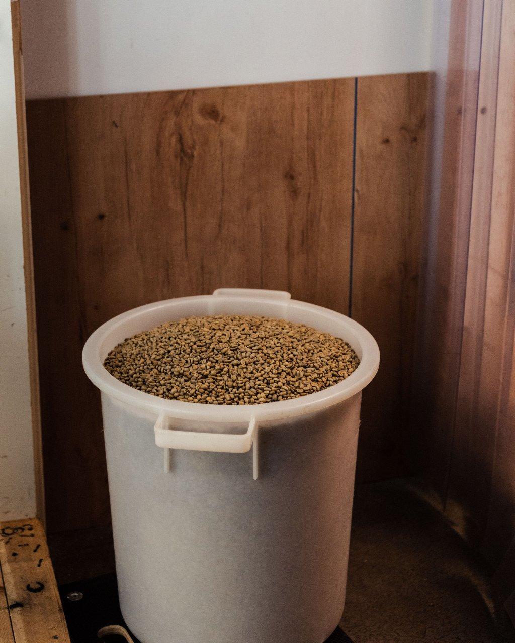 White bucket filled with coffee beans in wooden interior