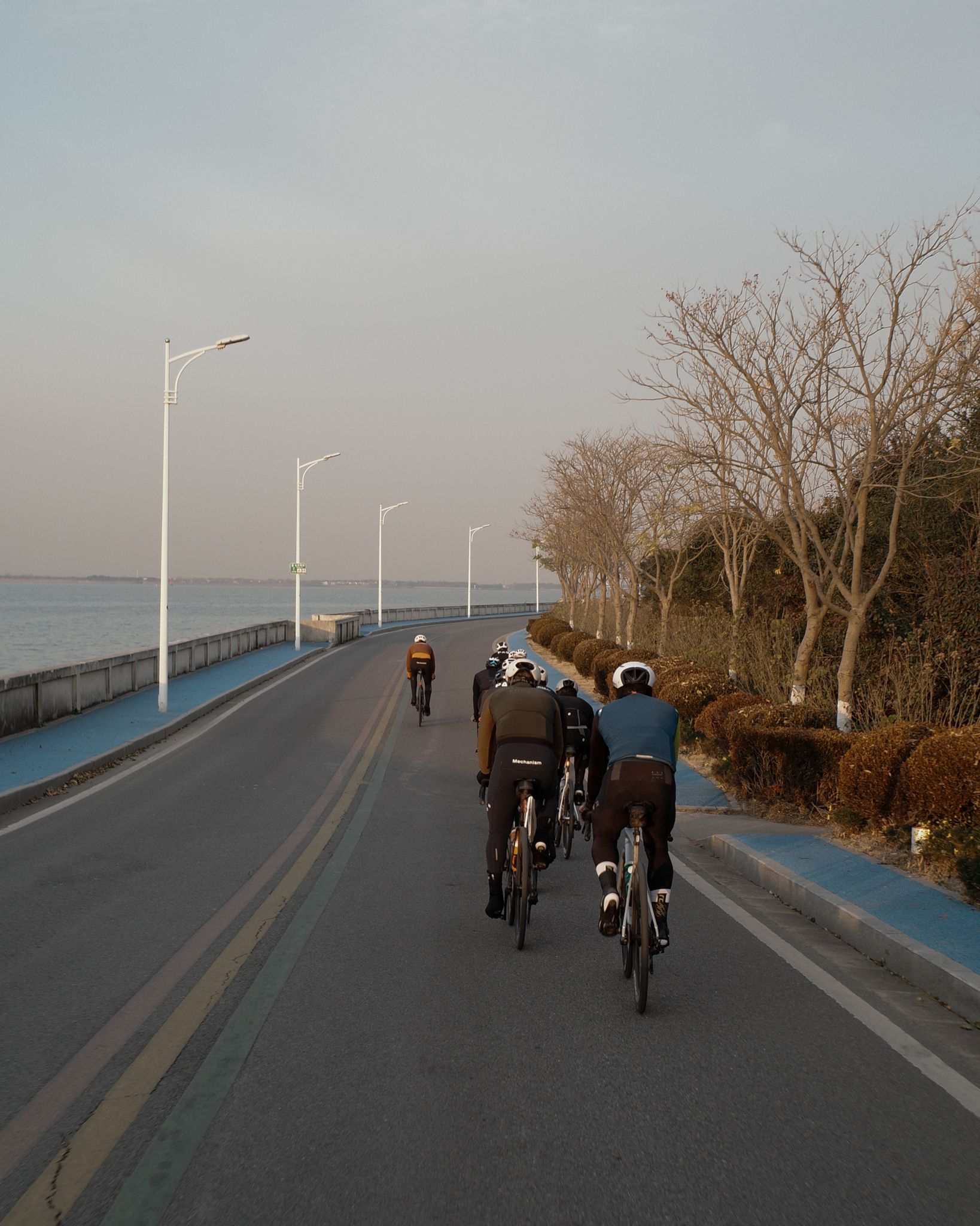Group of cyclists riding on coastal road with water and bare trees visible