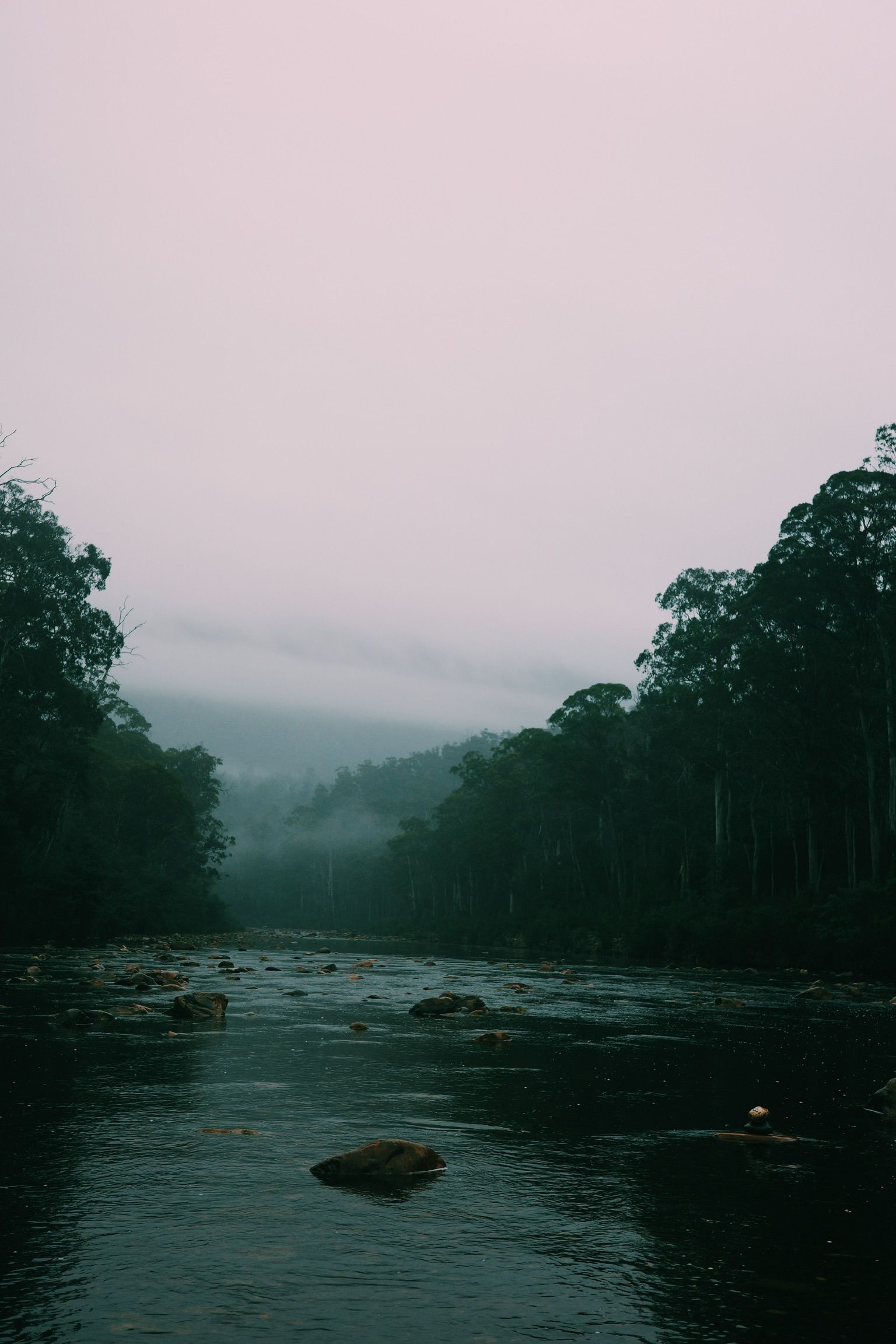 Misty river flowing through forested valley with pink dawn sky in Tasmania