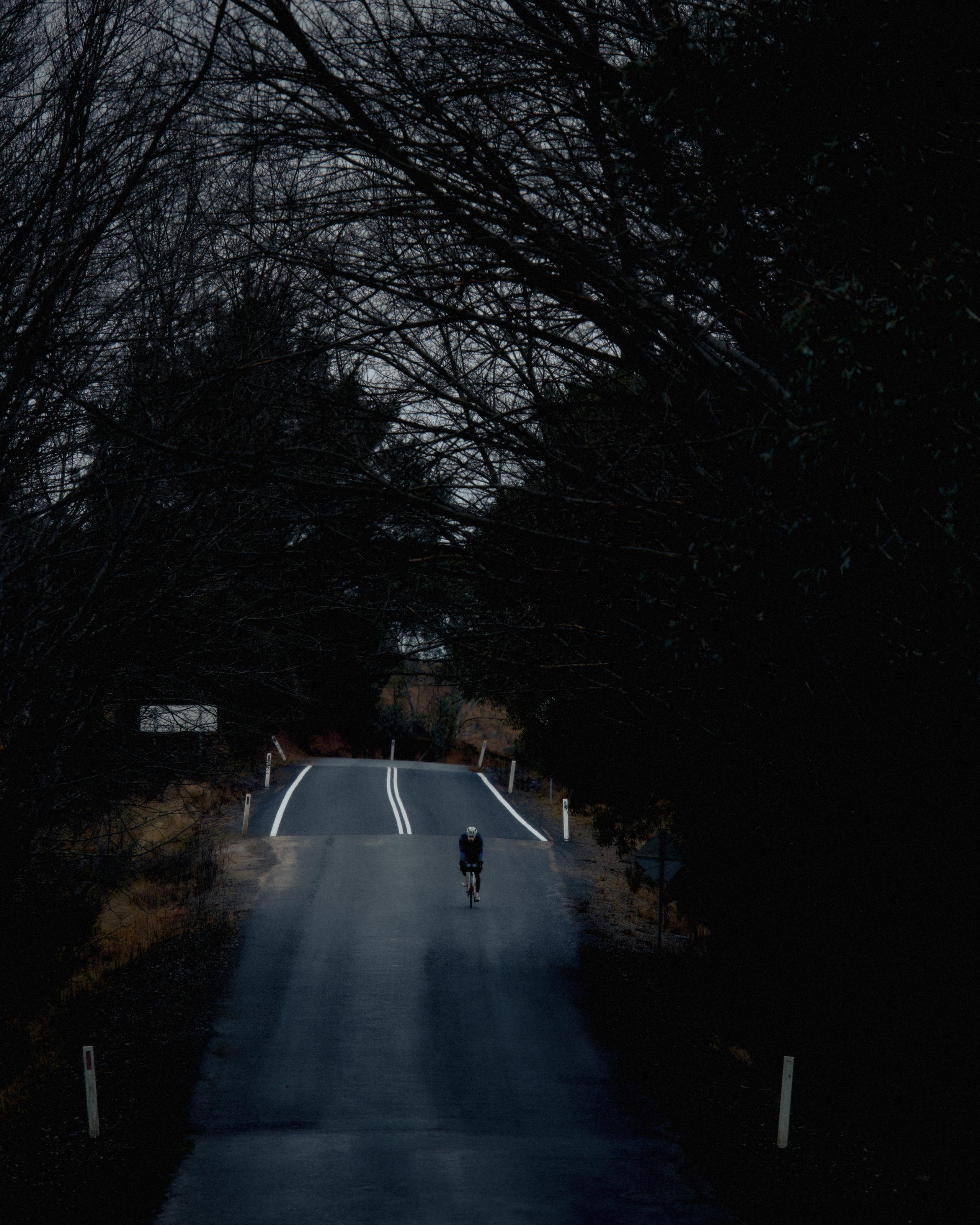 Cyclist riding on rural road under bare winter trees