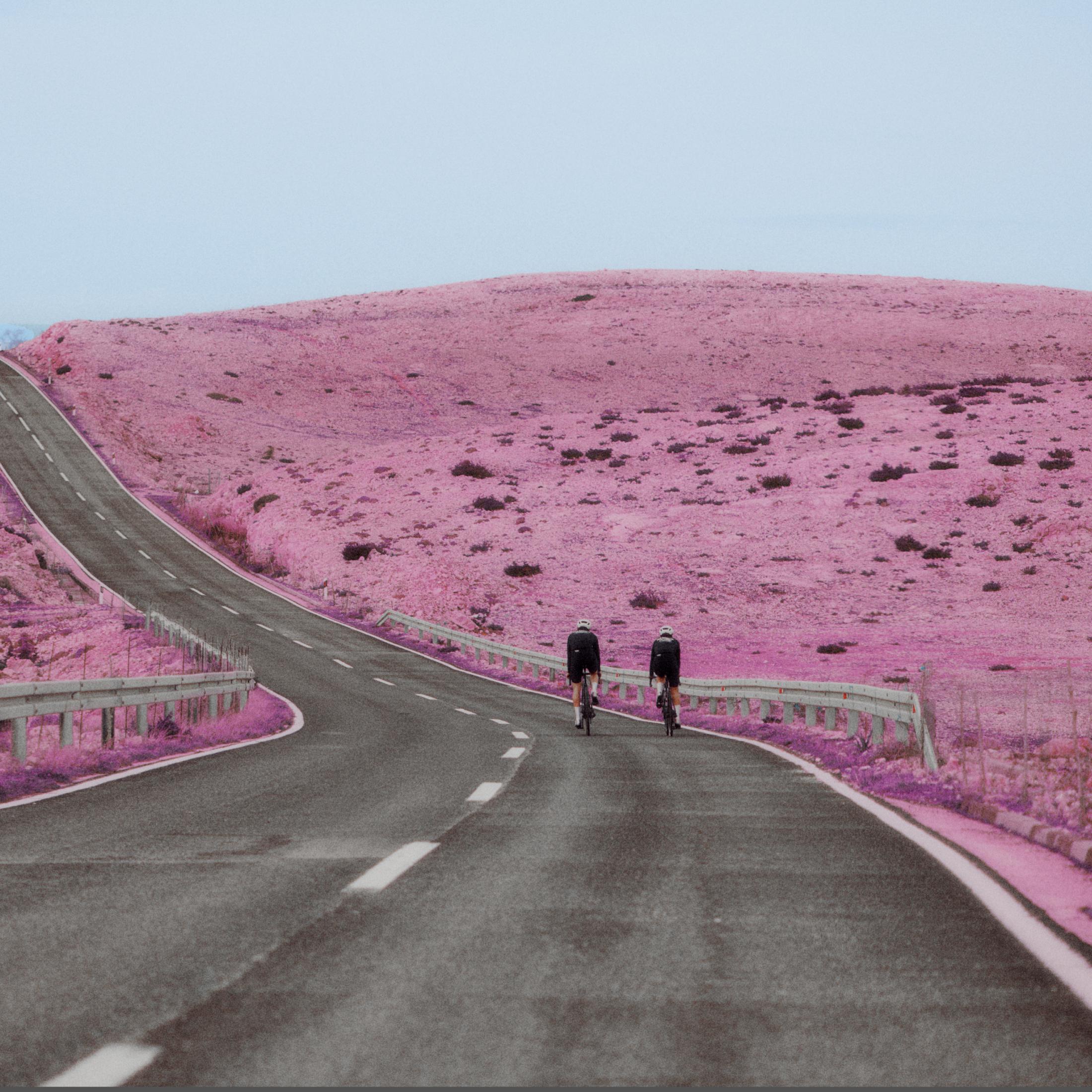 Two cyclists riding on winding road through pink-tinted landscape