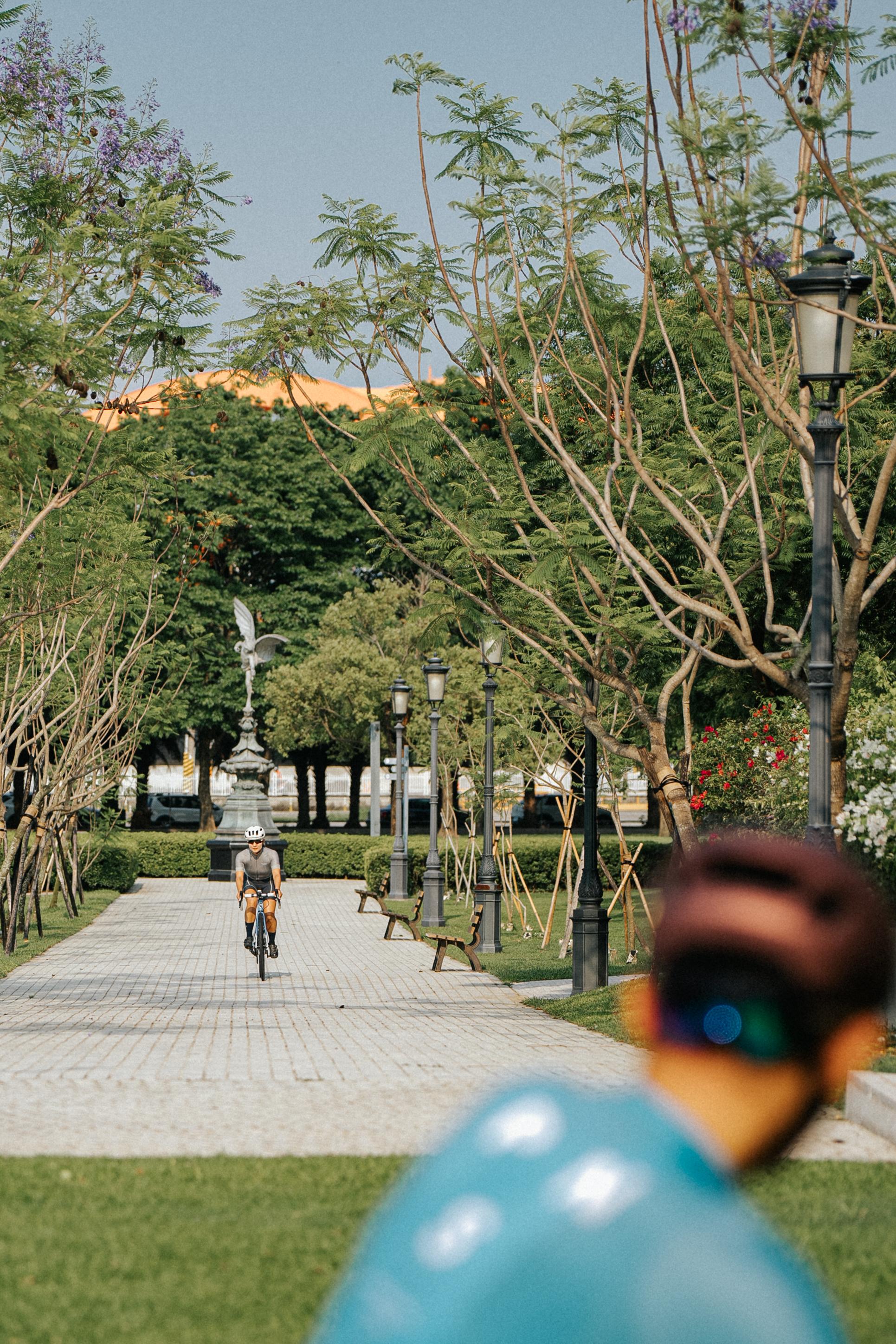 Cyclist riding through tree-lined park pathway with blurred foreground elements