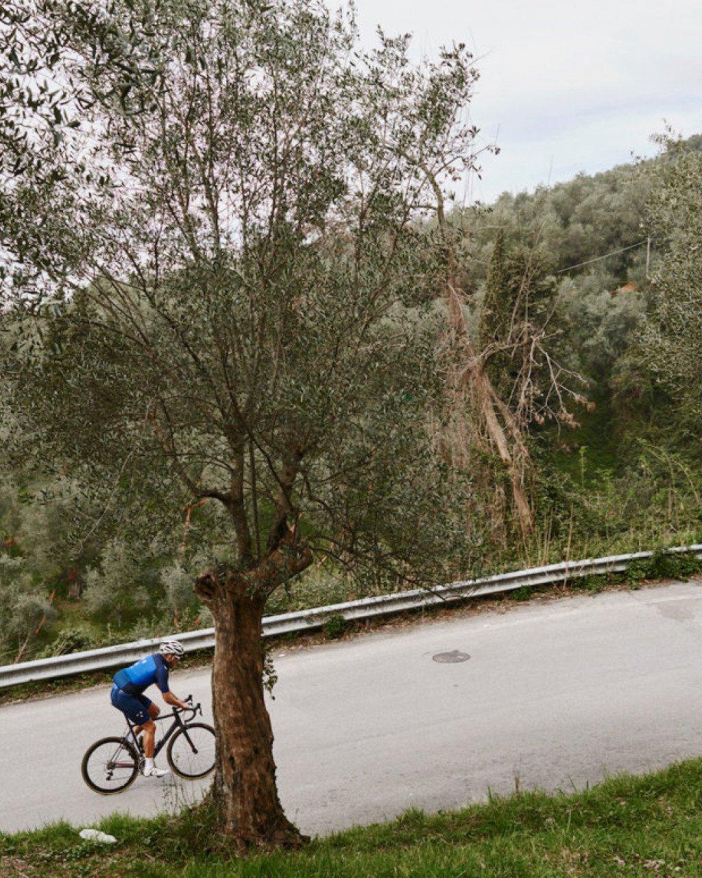 Cyclist in blue jersey riding on winding mountain road through wooded landscape