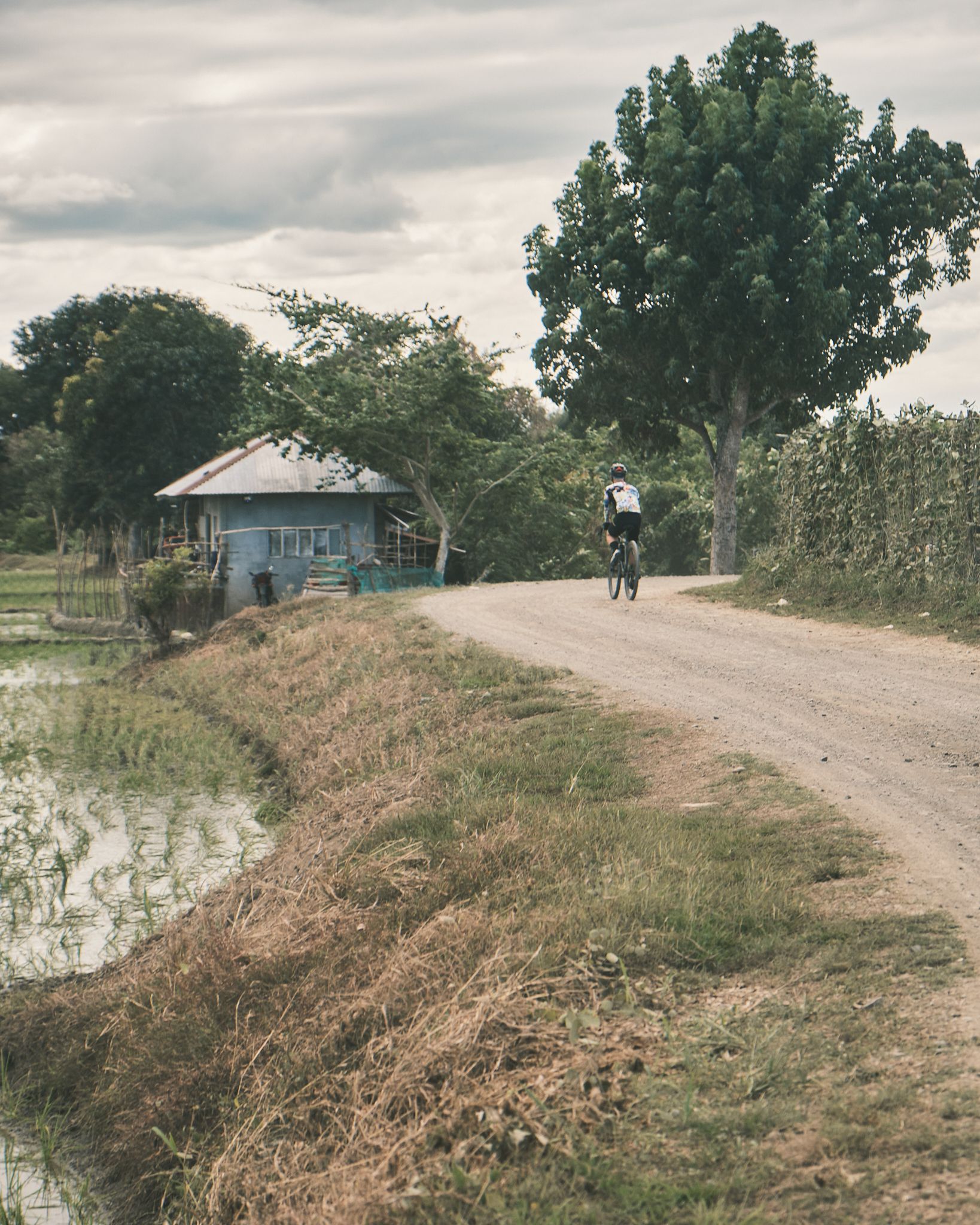 Cyclist riding on rural dirt road through countryside landscape