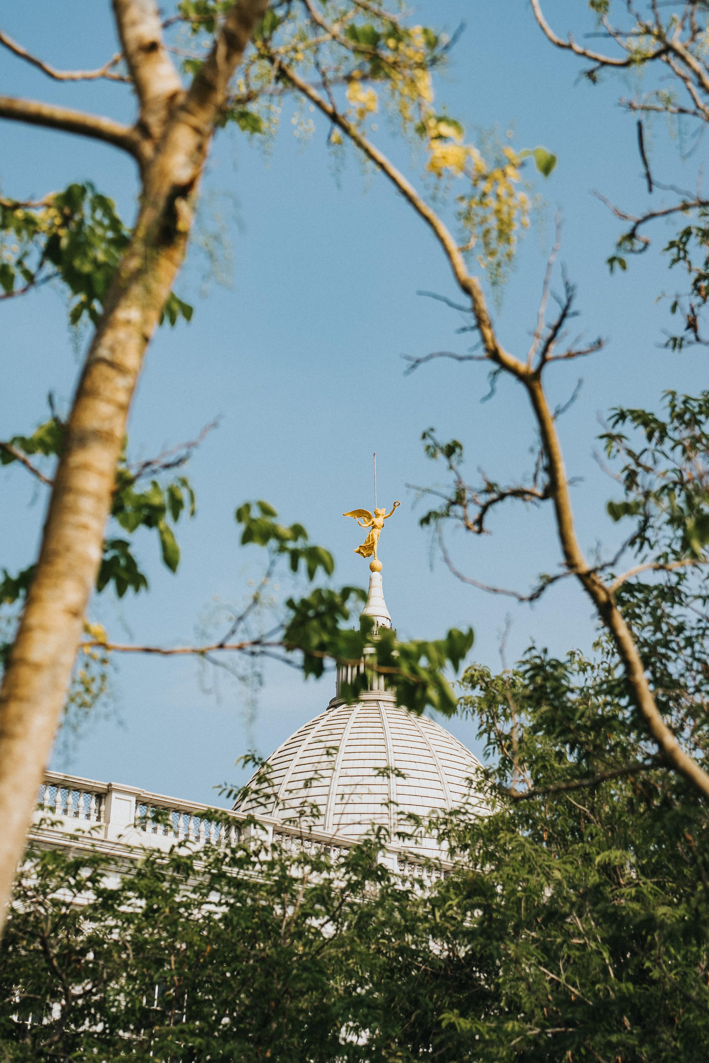 White domed building with golden spire viewed through tree branches against blue sky