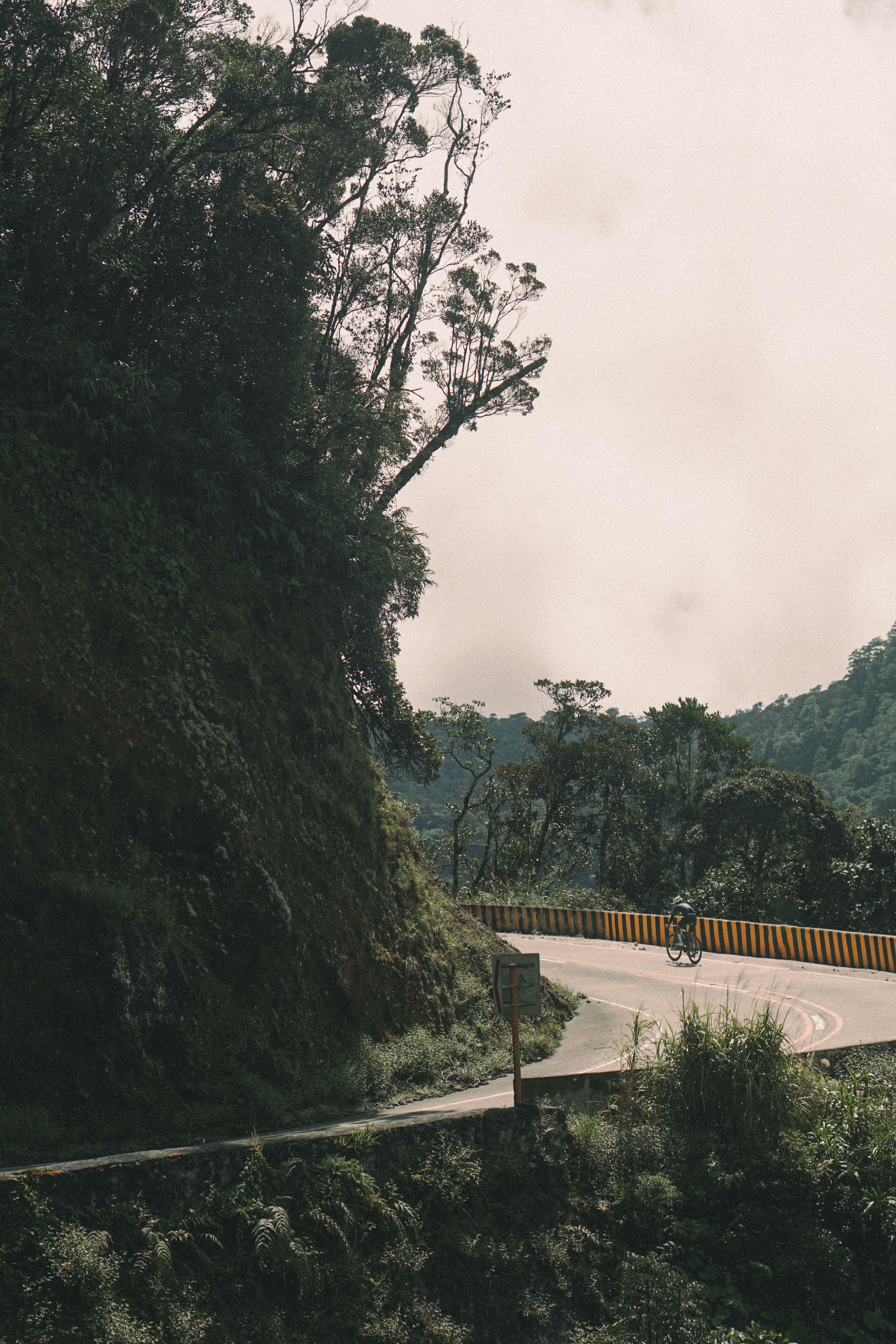 Cyclist on winding mountain road through lush forest landscape
