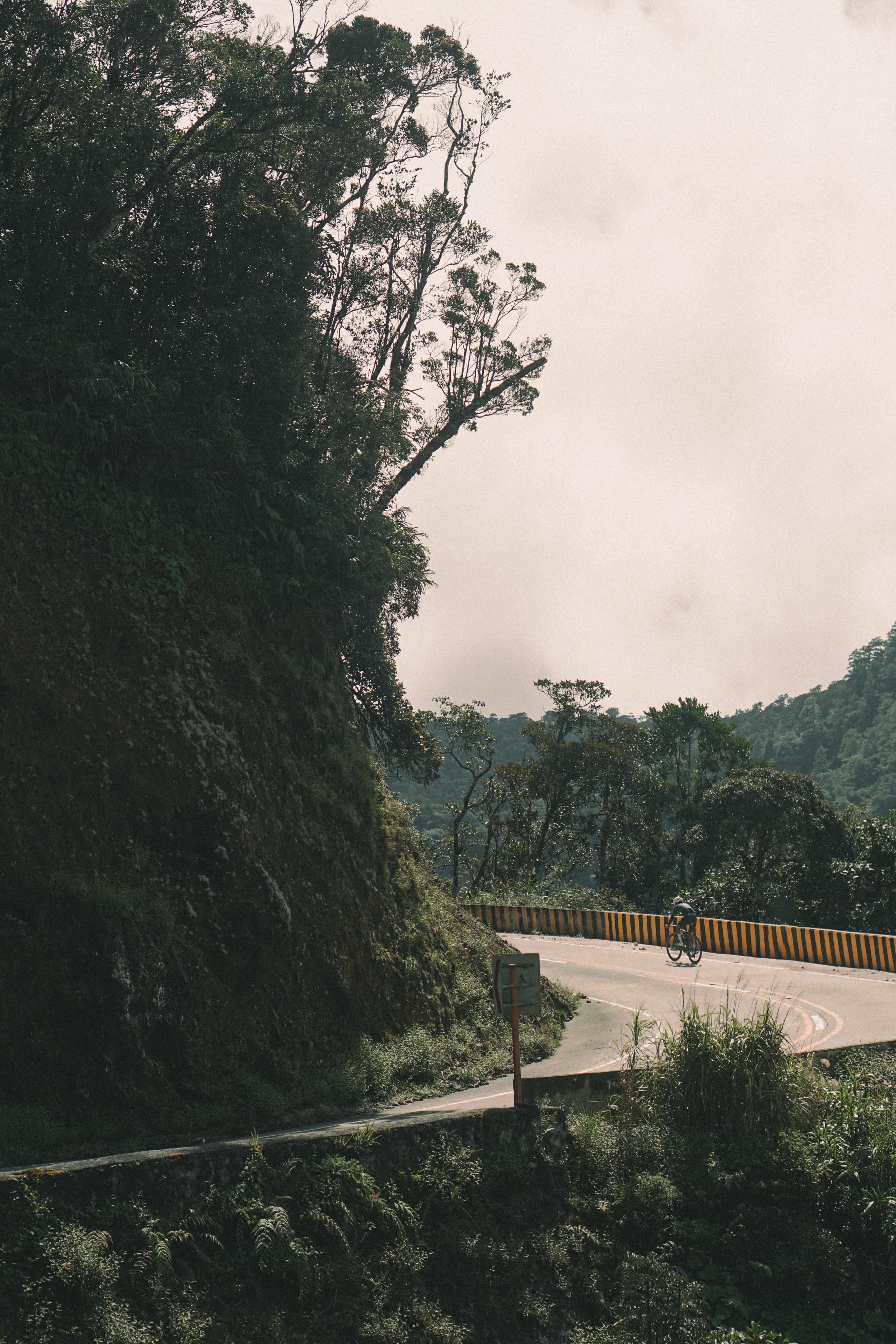 Cyclist on winding mountain road through lush forest landscape