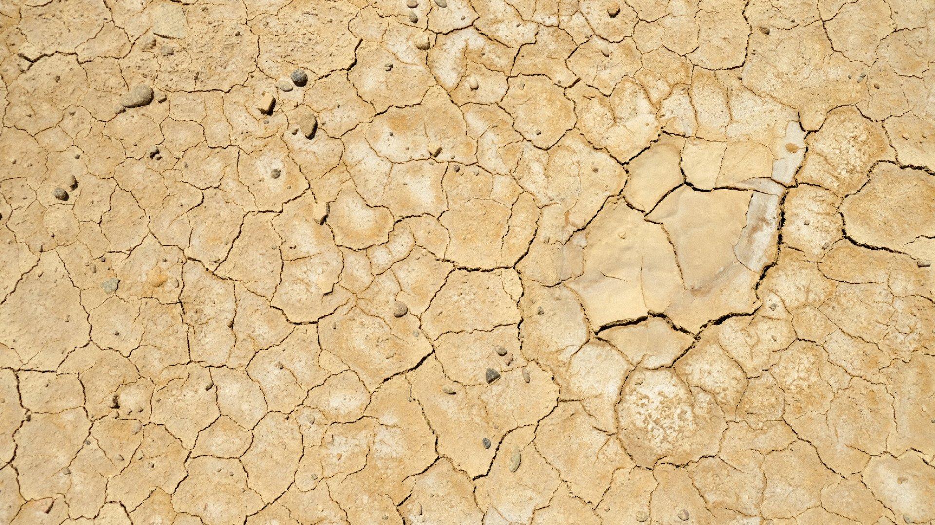 Cracked dry earth surface with irregular polygonal patterns in beige and tan tones
