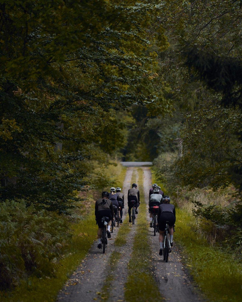 Group of cyclists riding down tree-lined gravel path in autumn setting