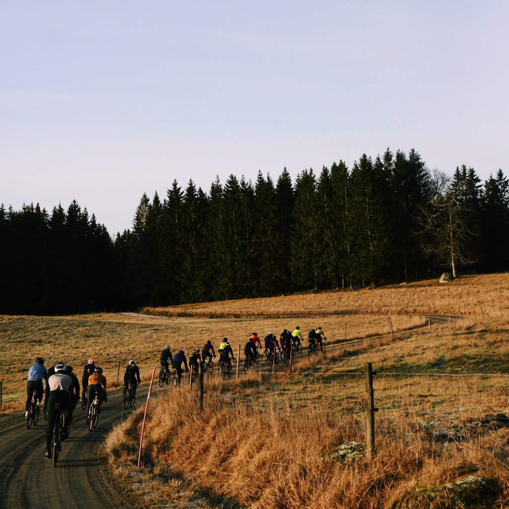 Group of cyclists riding through golden countryside with forest backdrop at sunset