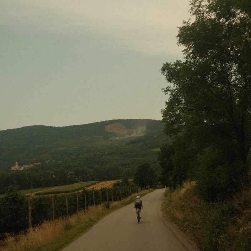 Cyclist riding through rural Slovenian countryside on quiet road with rolling hills and vineyard fencing