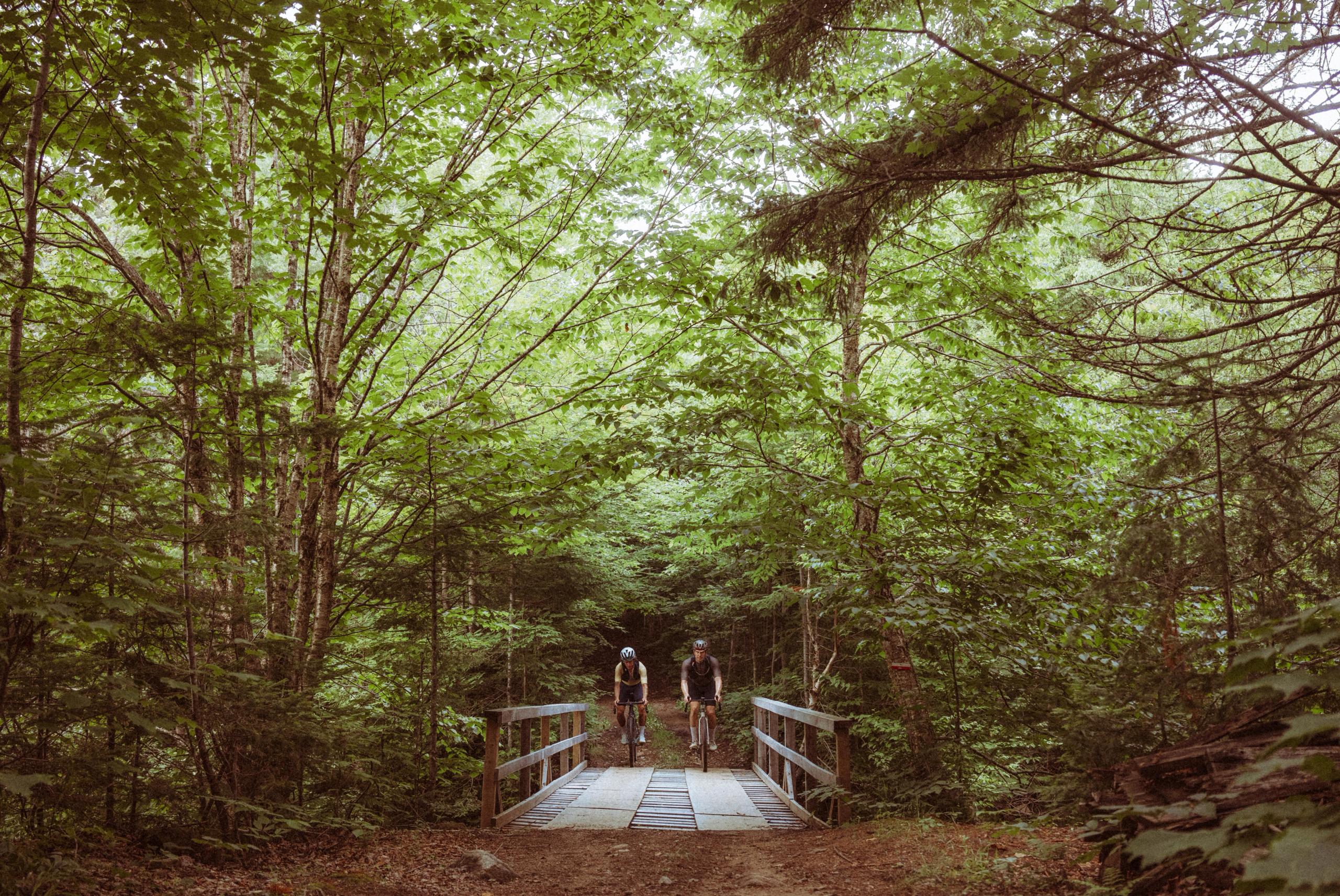 Two cyclists on wooden bridge surrounded by lush green forest canopy