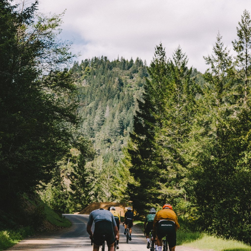 Group of cyclists riding through forested hills on rural road in Sonoma, California