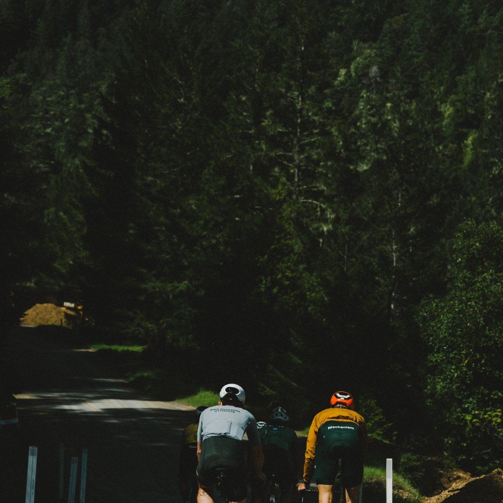 Two cyclists riding through forested area, one in white jersey and one in yellow jersey