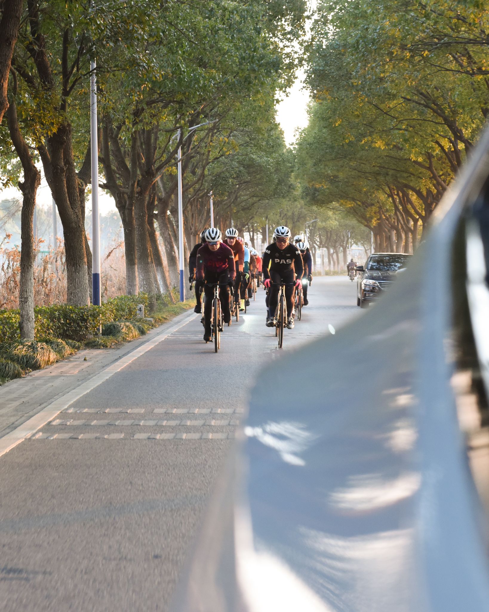 Group of cyclists riding on tree-lined road wearing dark cycling apparel