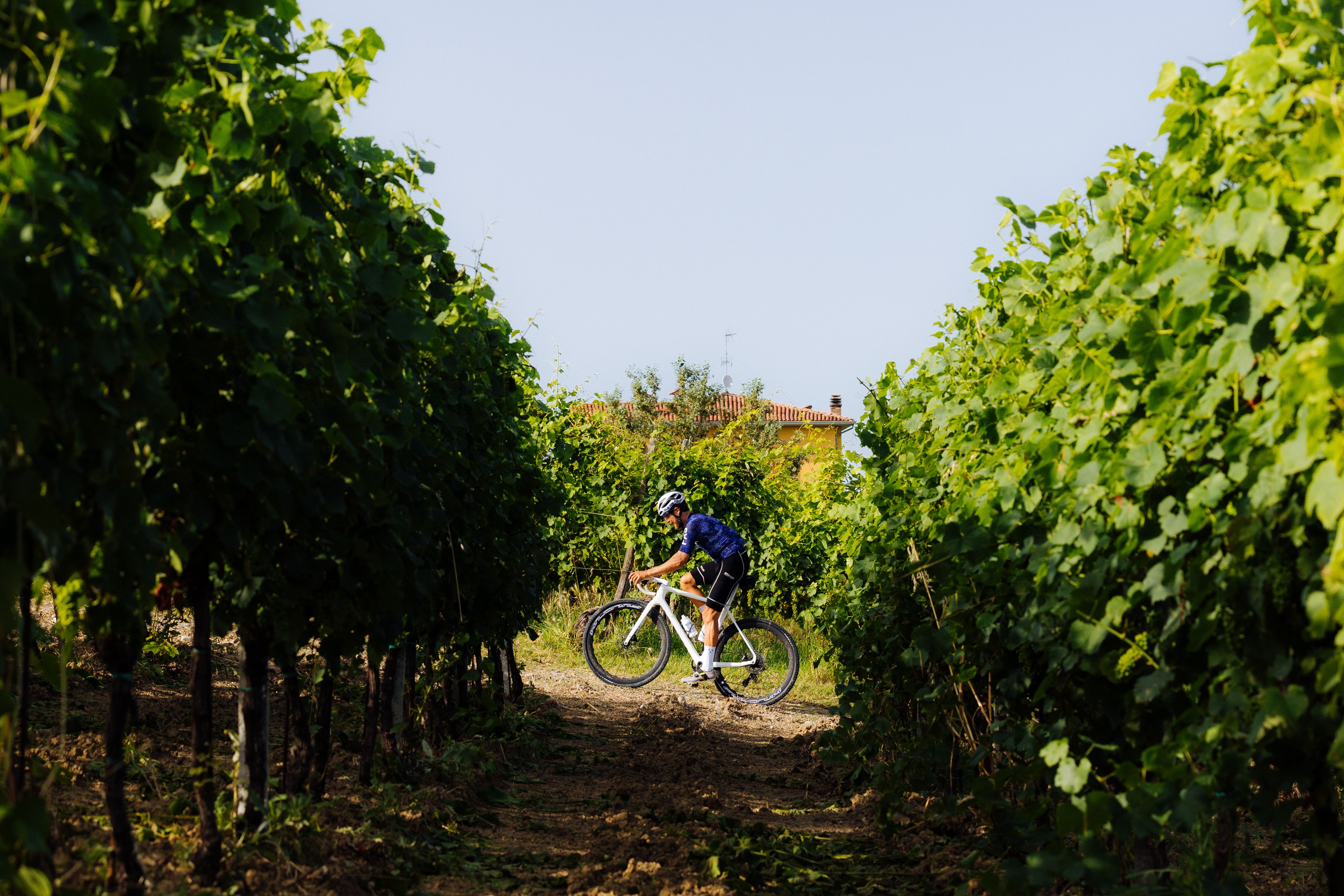 Navy Mechanism Enough cycling jersey on cyclist riding through vineyard rows