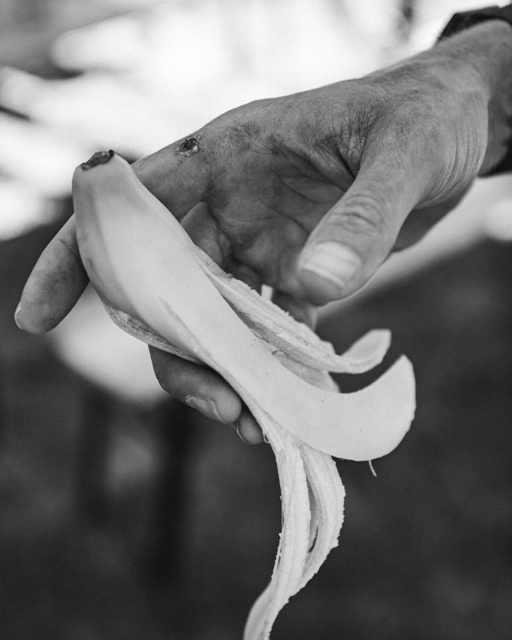 Hands holding natural camel fiber in black and white photography