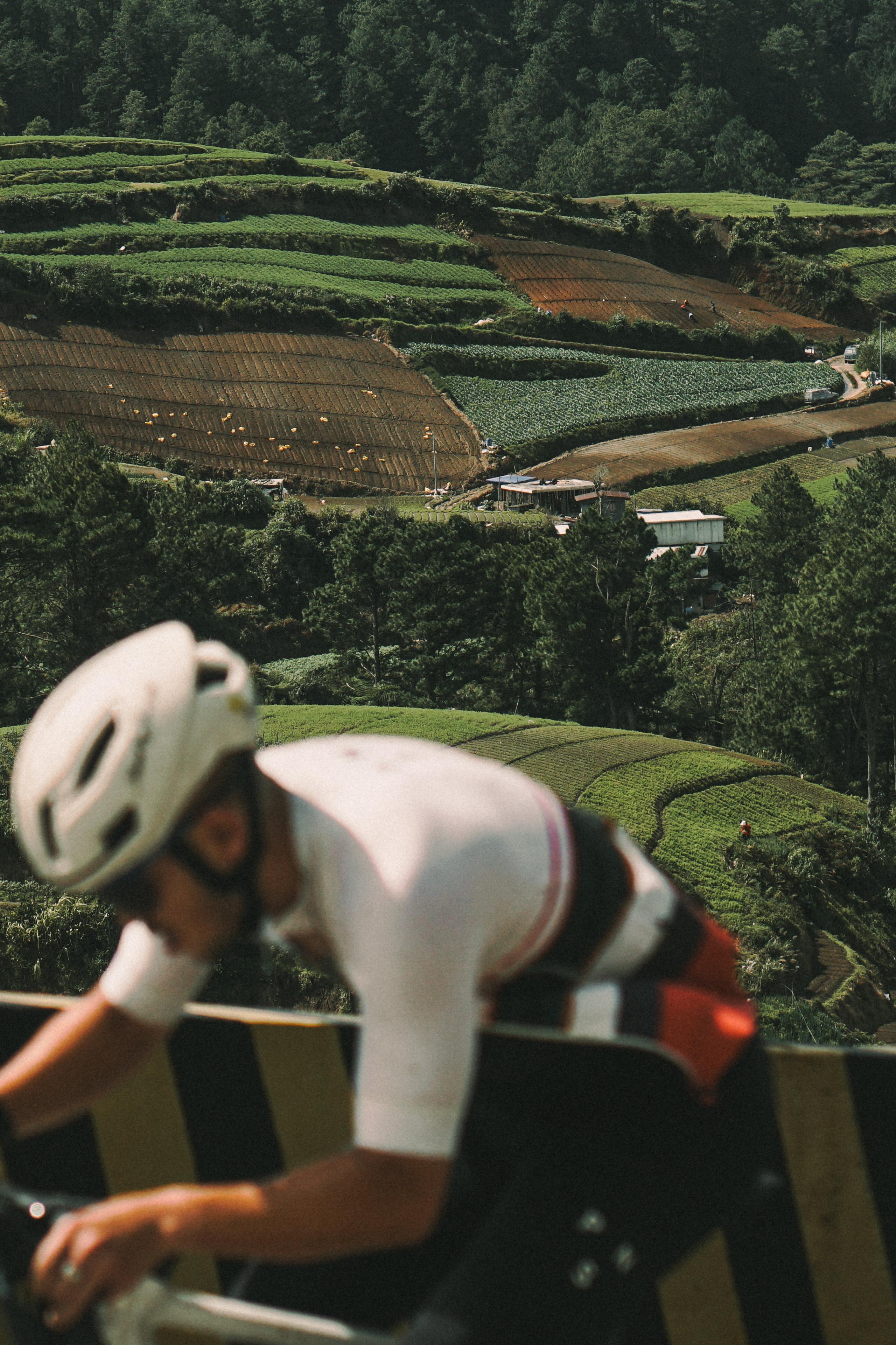 Model wearing white cycling jersey overlooking terraced agricultural landscape