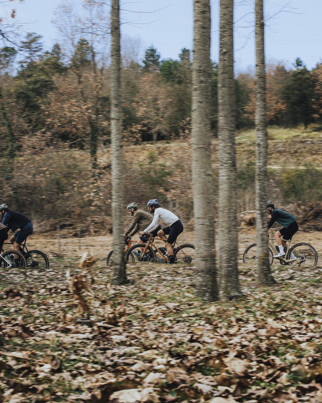 Cyclists riding gravel bikes through autumn forest with bare trees