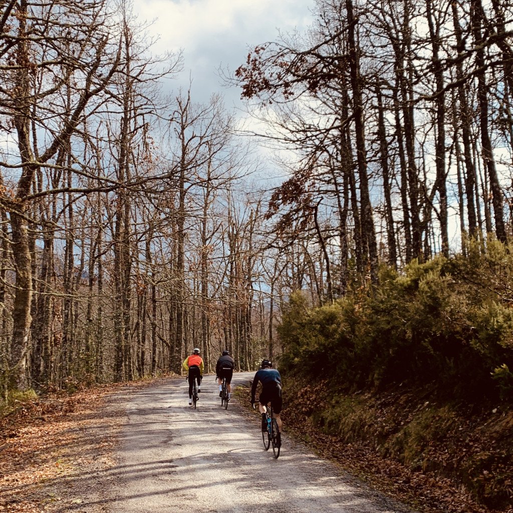 Three cyclists riding through bare winter forest on winding road