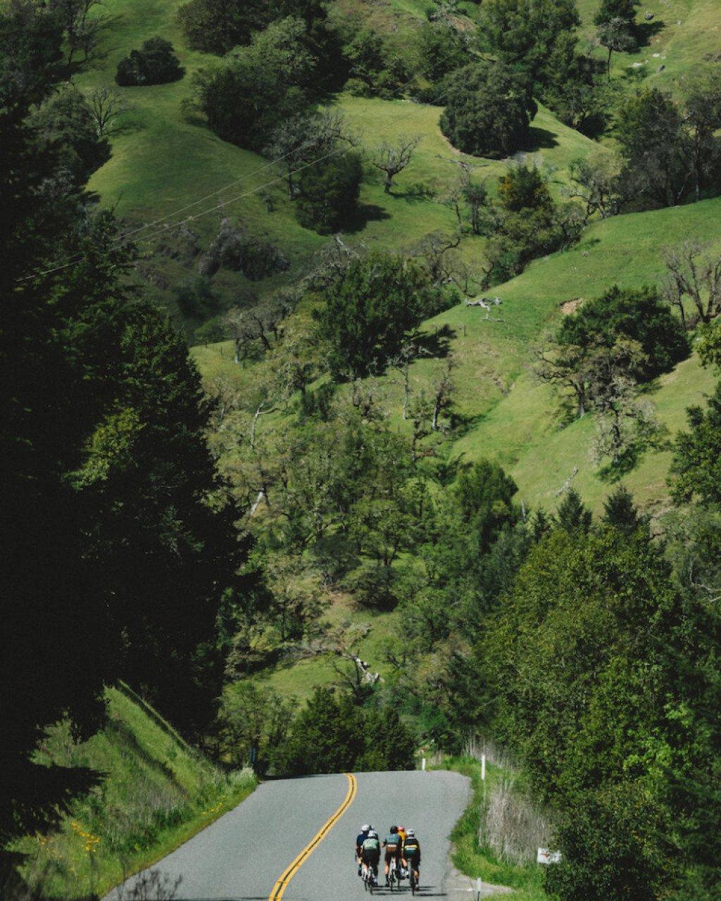 Cyclists riding on winding road through green hills and forests in Sonoma County