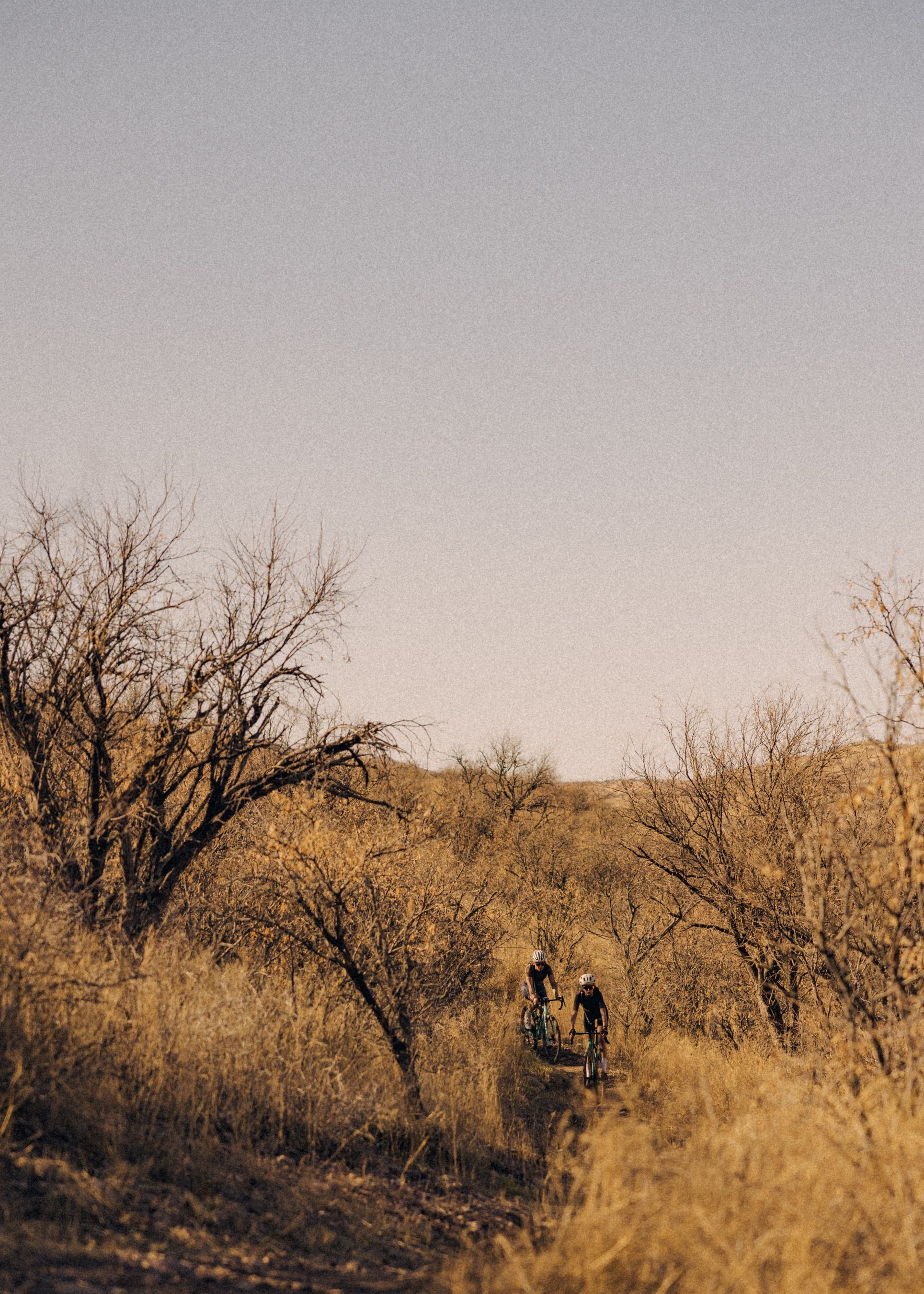 Two cyclists riding gravel bikes through golden desert landscape with bare trees at sunset