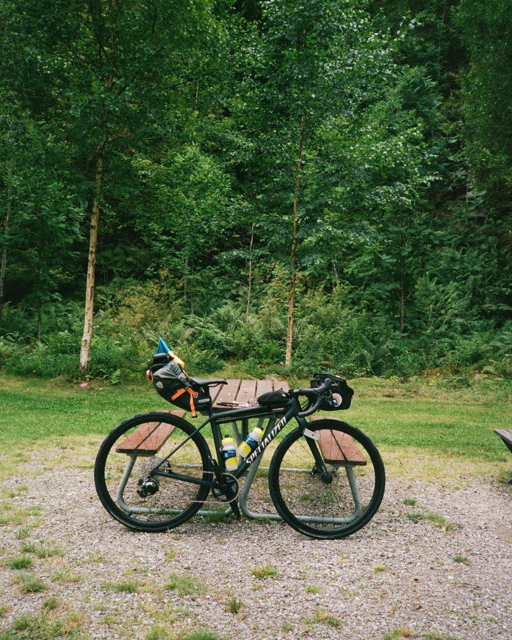 Gravel bike with bikepacking gear parked beside forest path