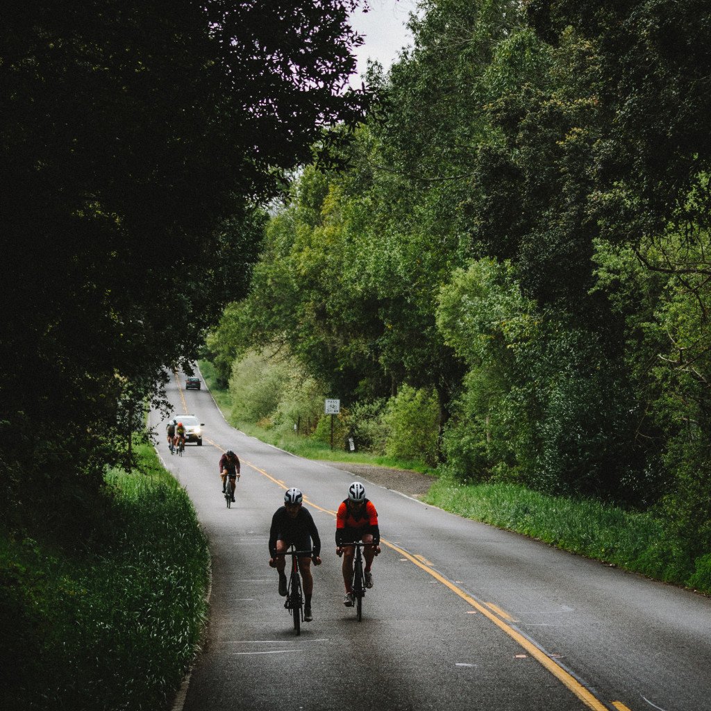 Cyclists riding through tree-lined countryside road in Sonoma, California