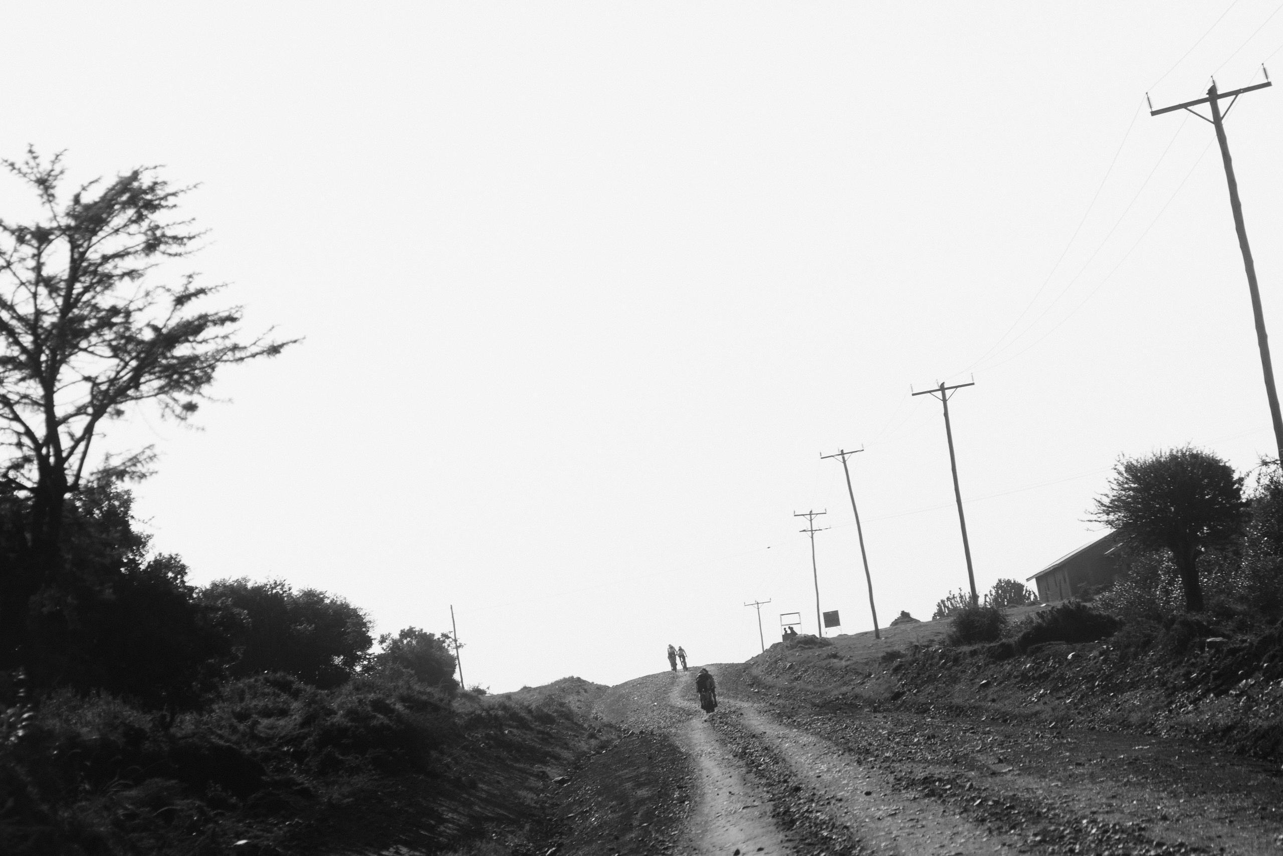 Black and white rural landscape with gravel road, cyclists in distance, telephone poles and scattered trees