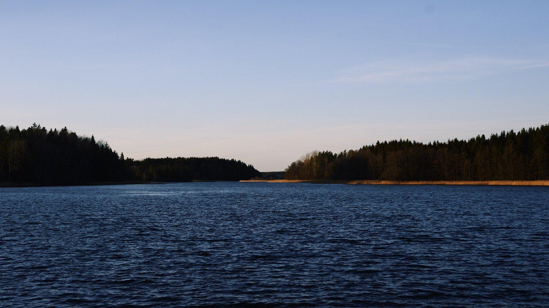 Serene lake view with forested shoreline under evening sky