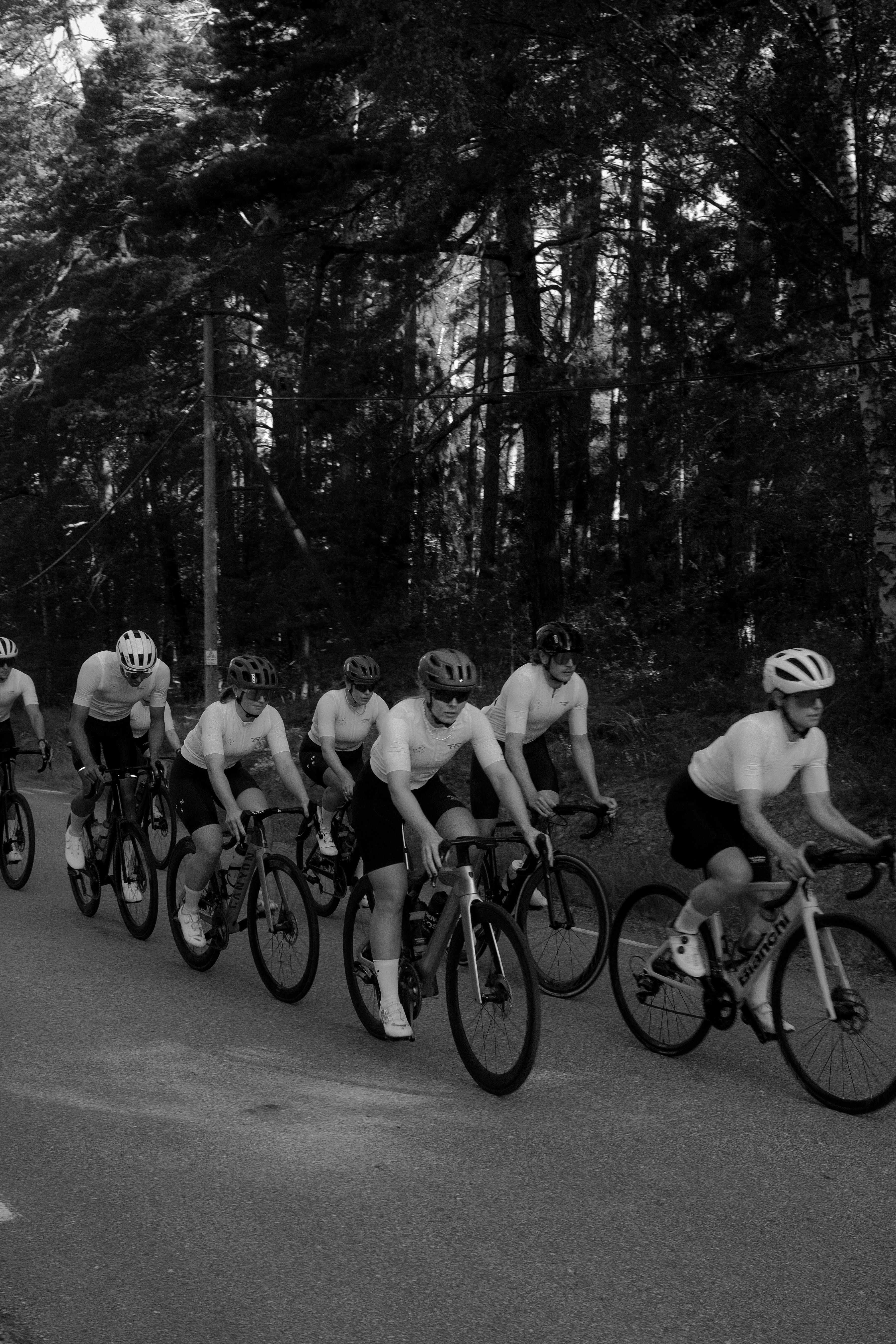 Group of cyclists in aerodynamic position racing through wooded area in black and white